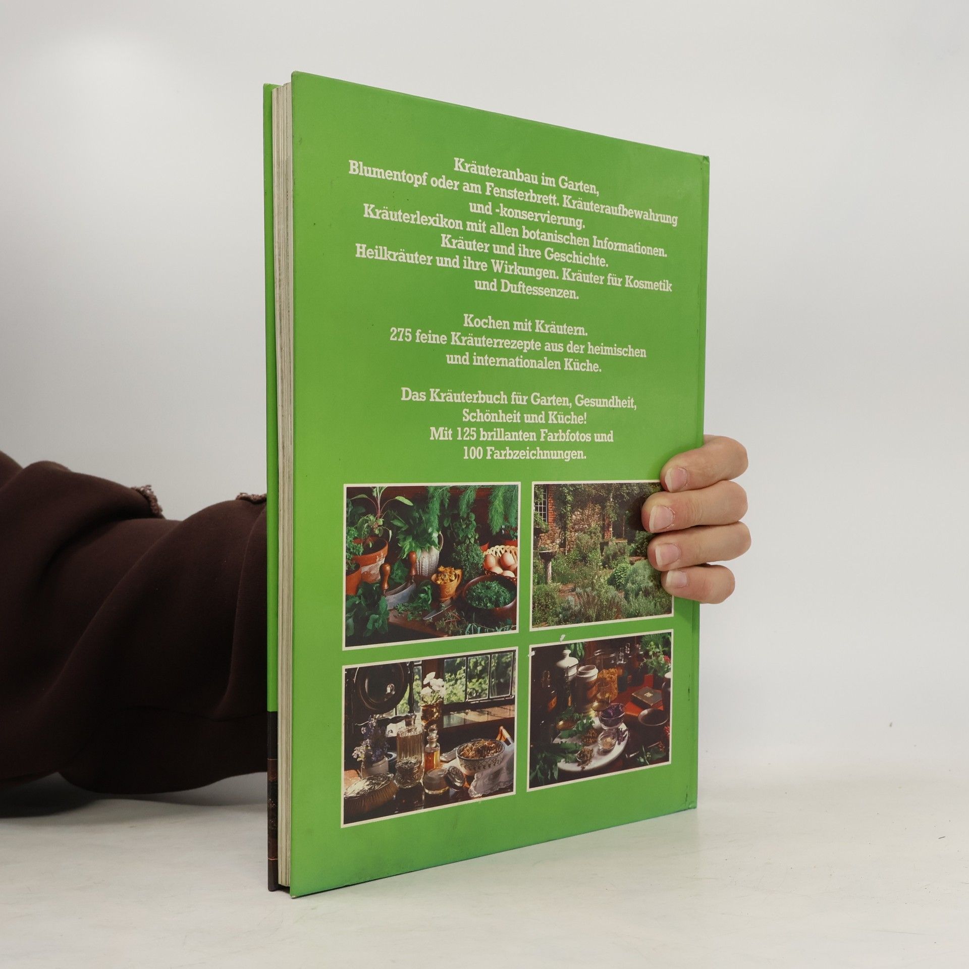 Autorenkollektiv Das Mosaik Kräuterbuch