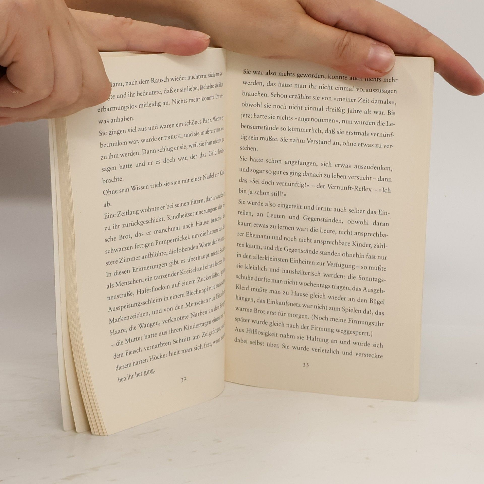 Peter Handke Wunschloses Unglück