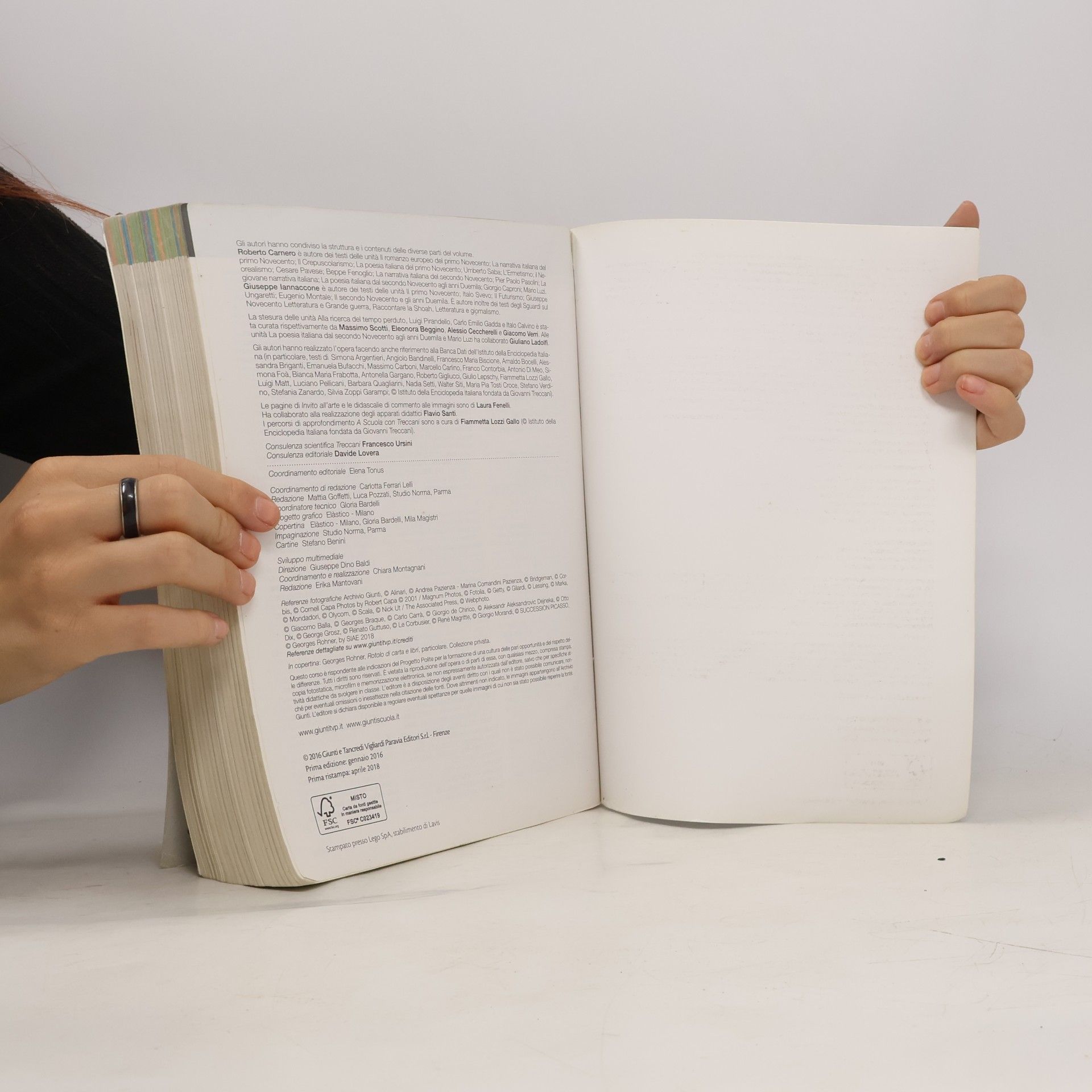 Roberto Carnero Al Cuore della letteratura 6