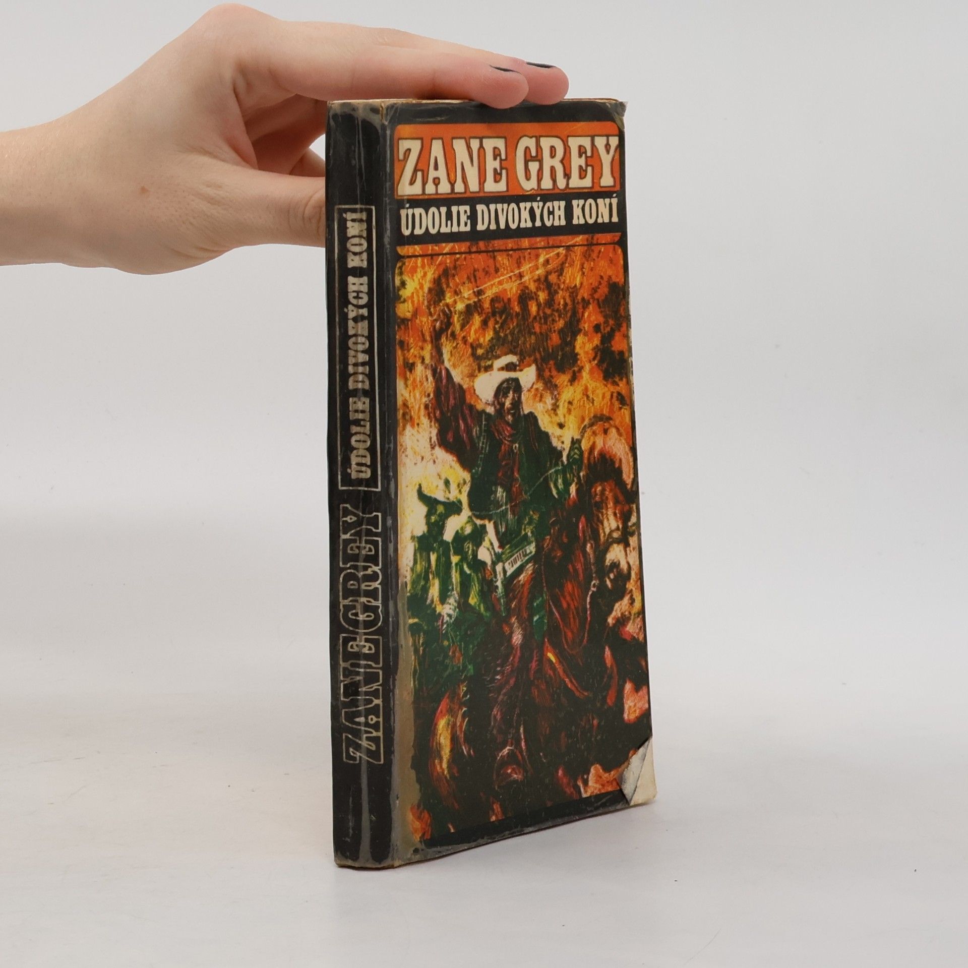 Zane Grey Údolie divokých koní