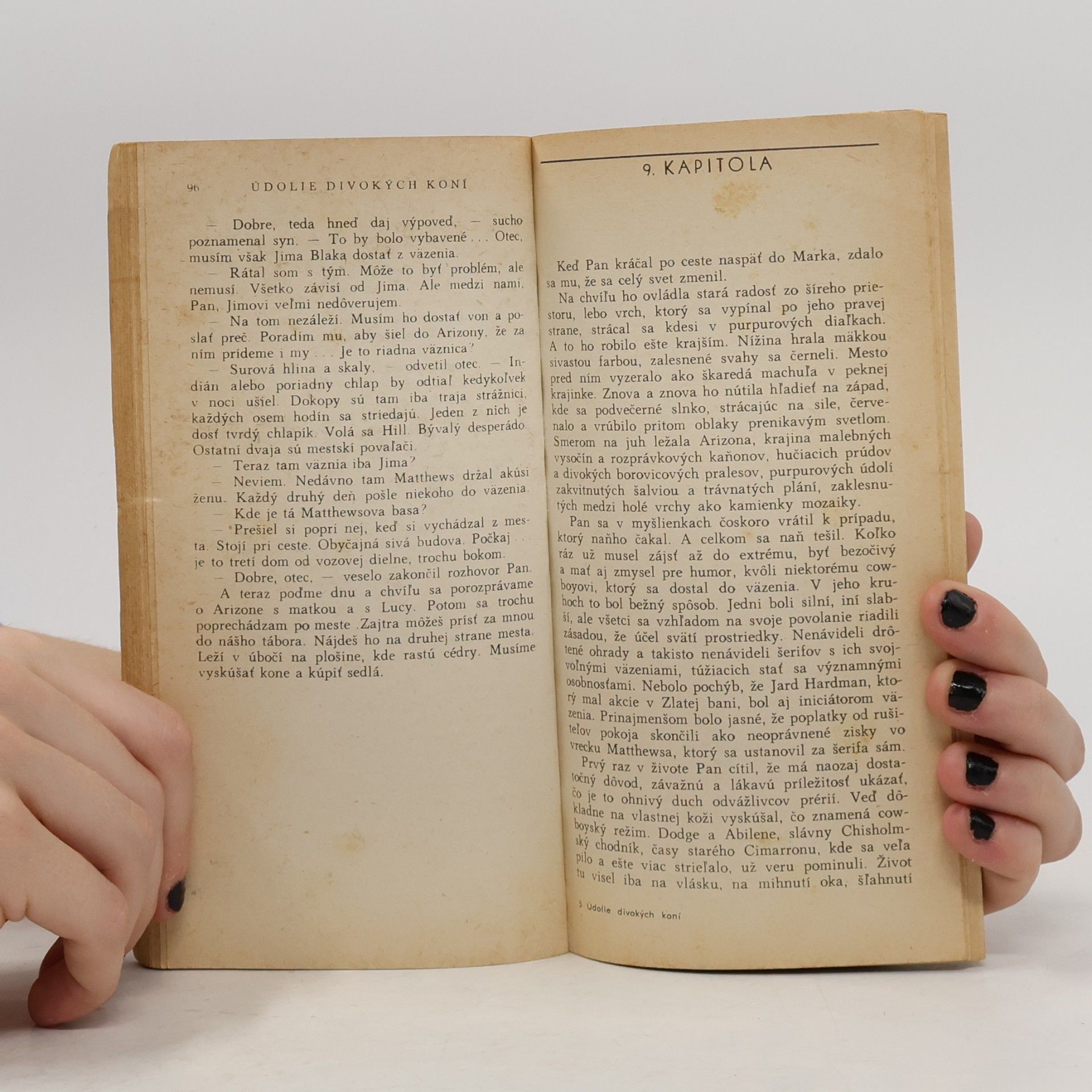 Zane Grey Údolie divokých koní