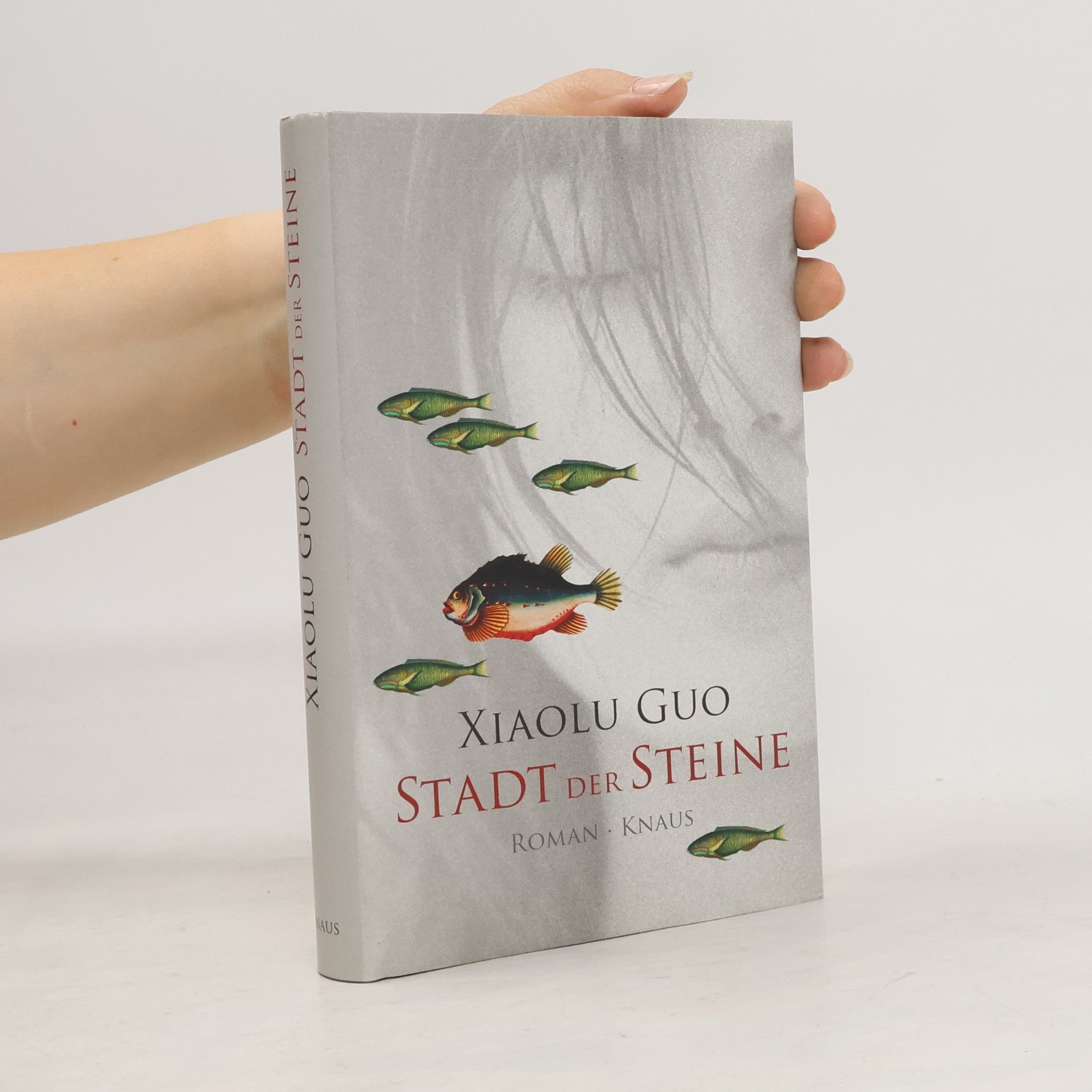 Xiaolu Guo Stadt der Steine