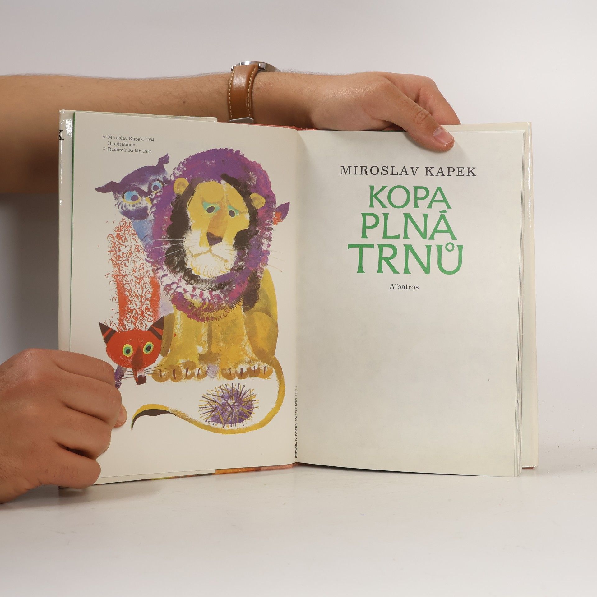 Miroslav Kapek Kopa plná trnů