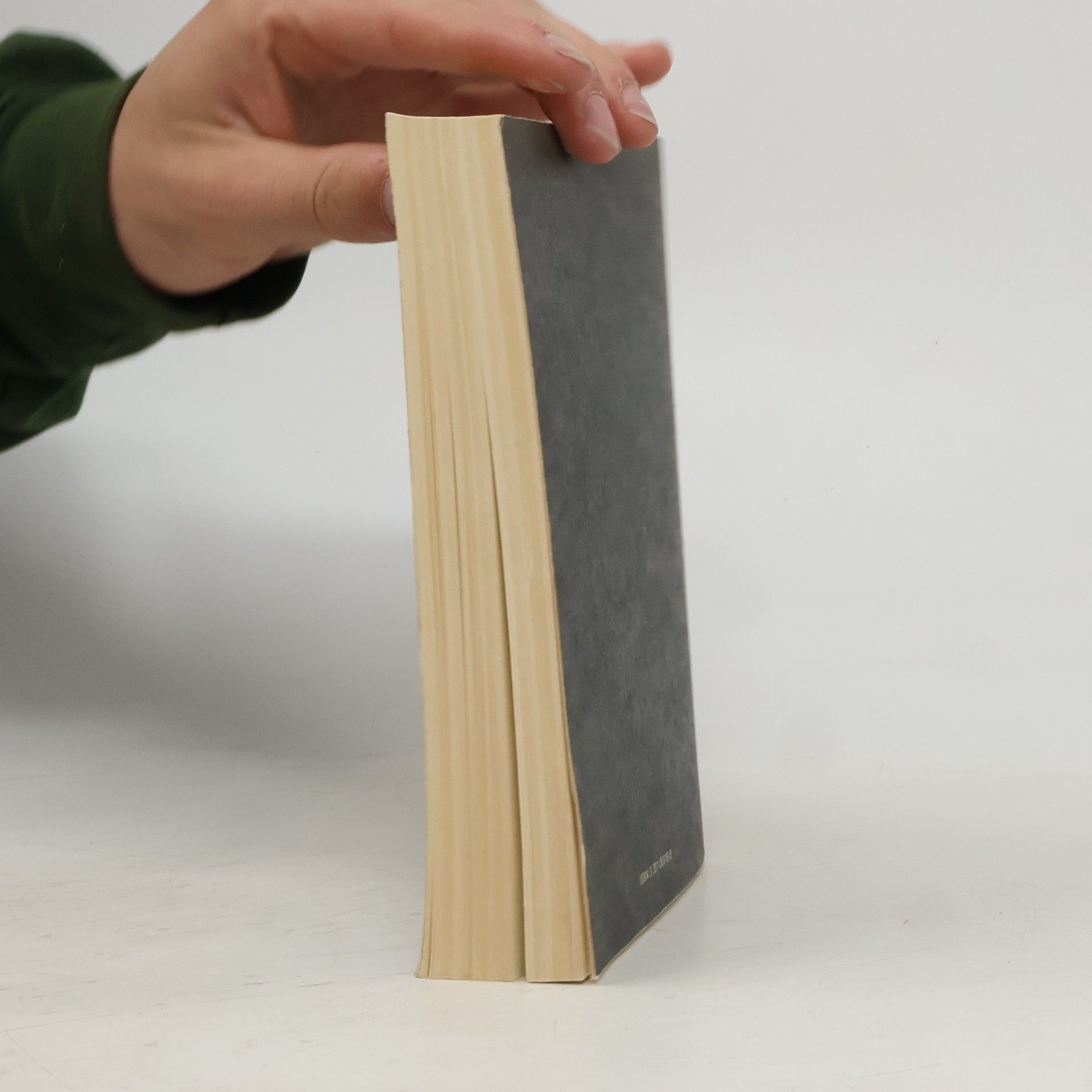 Christa Wolf Die Dimension des Autors. Aufsätze, Essays, Gespräche, Reden 1959-1985, Band 2