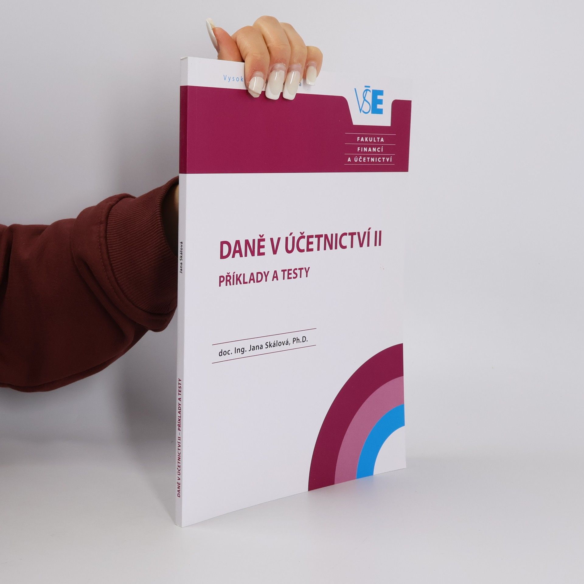 Kolektiv autorů Daně v účetnictví II