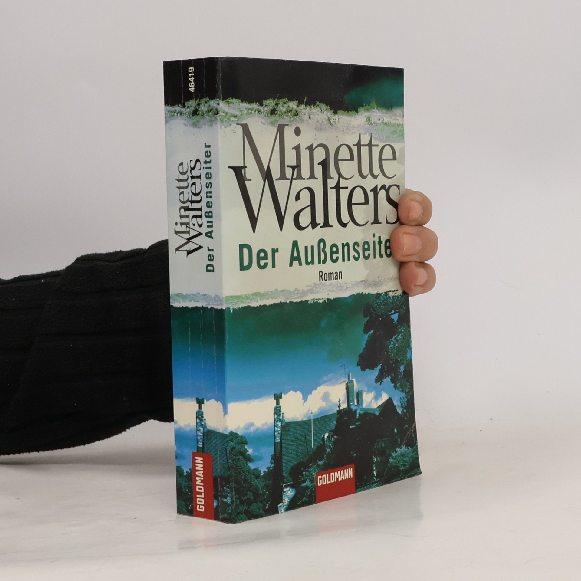Minette Walter Der Außenseiter