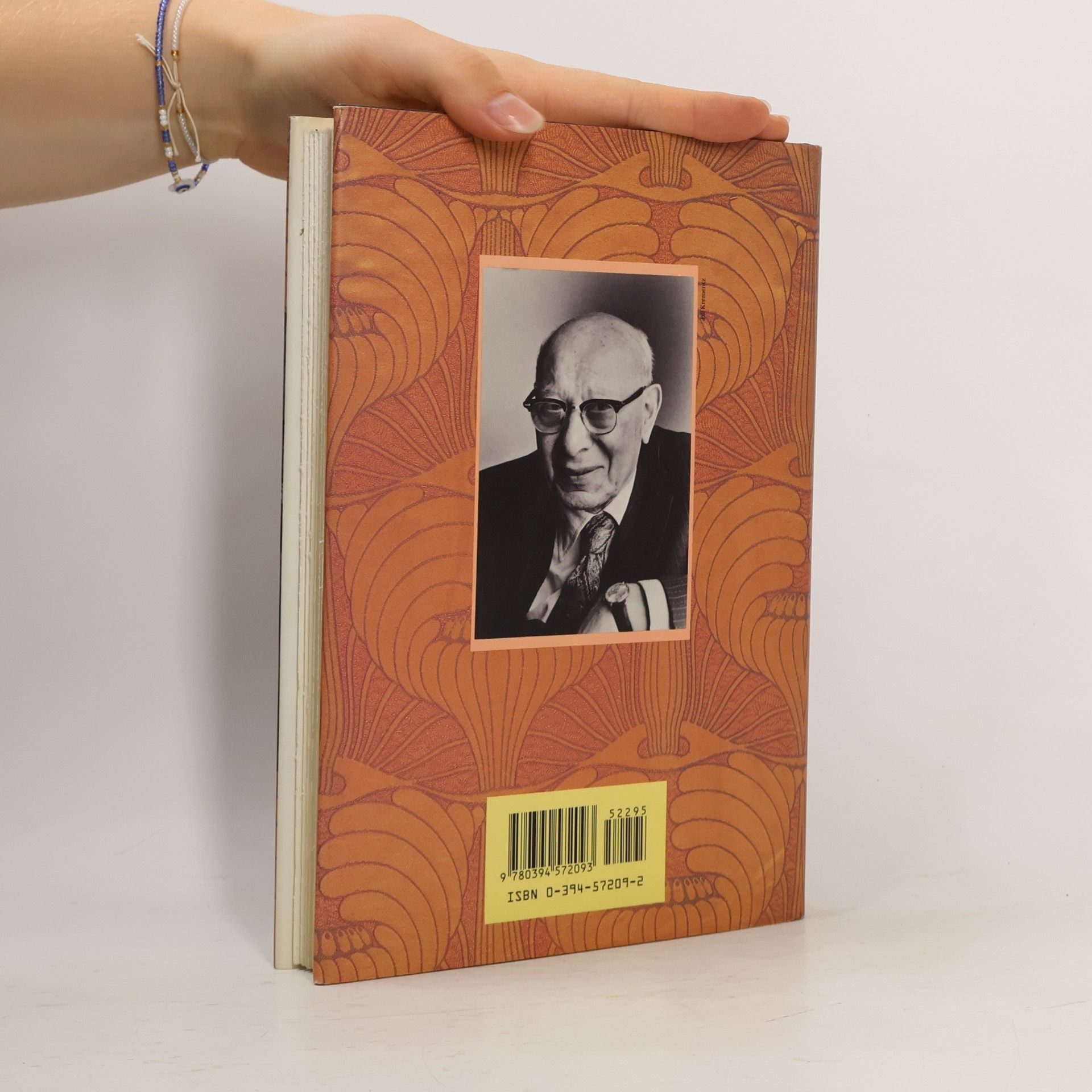 Bruno Bettelheim Freud's Vienna and Other Essays