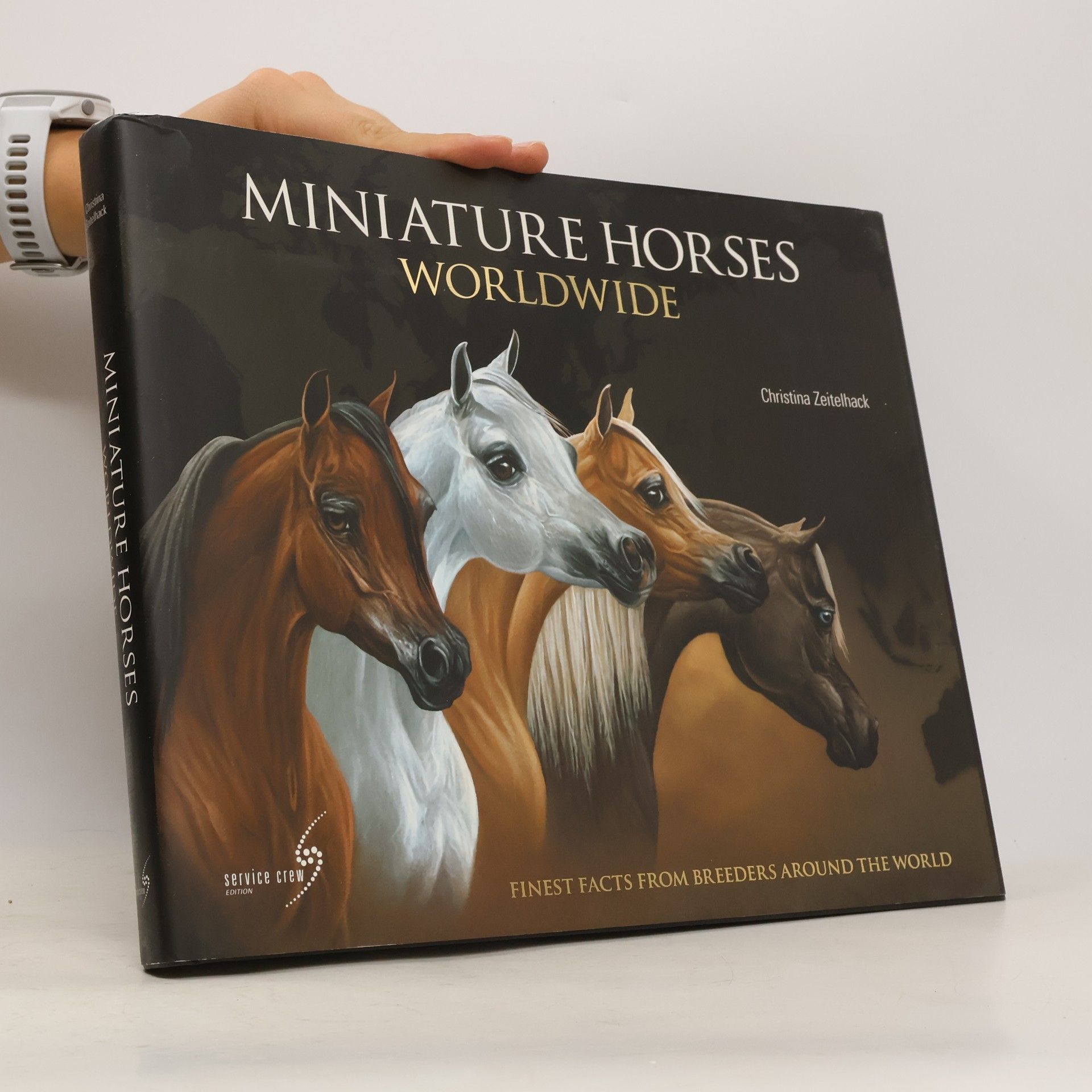 Amie Anderson Miniature horses worldwide