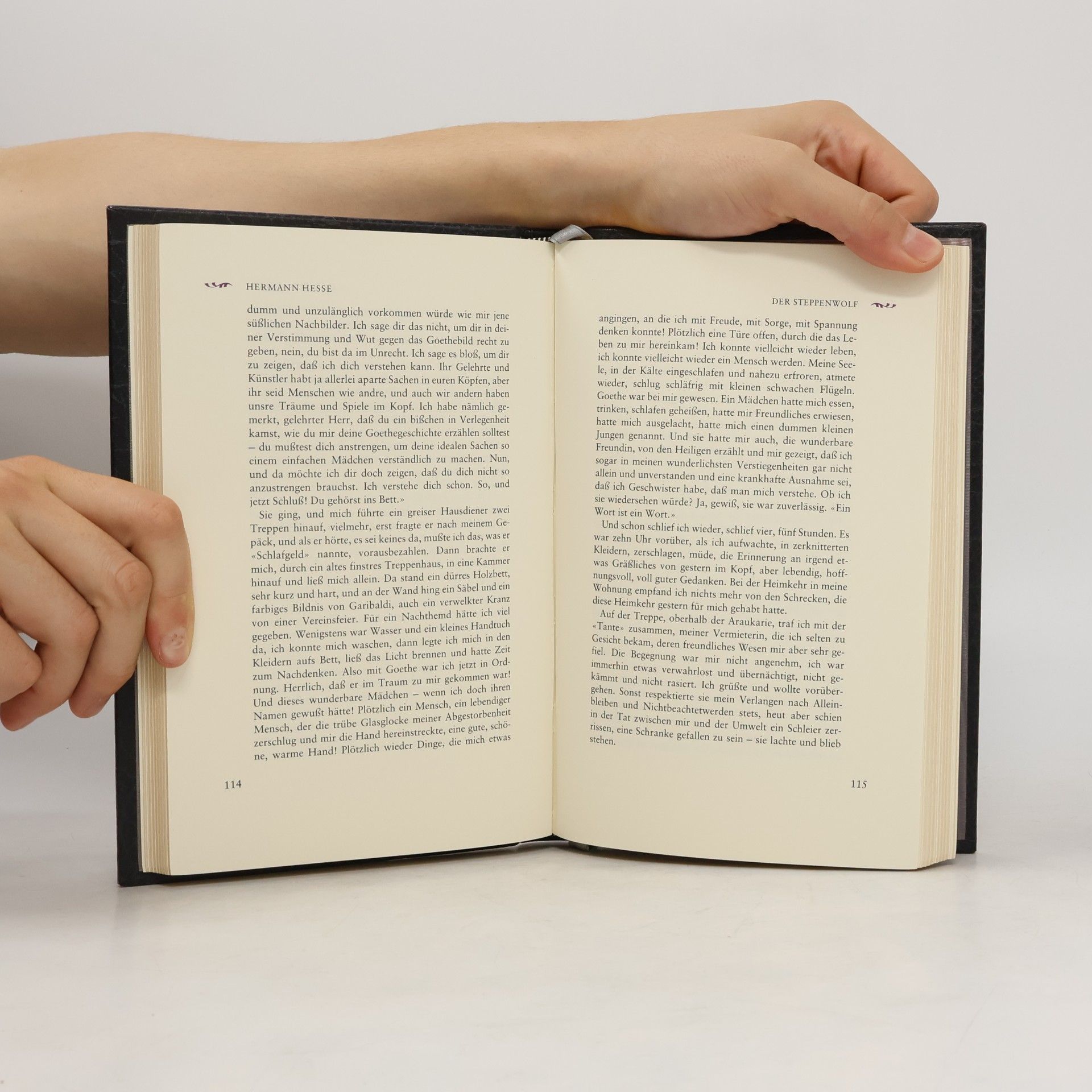 Hermann Hesse Zum Steppenwolf