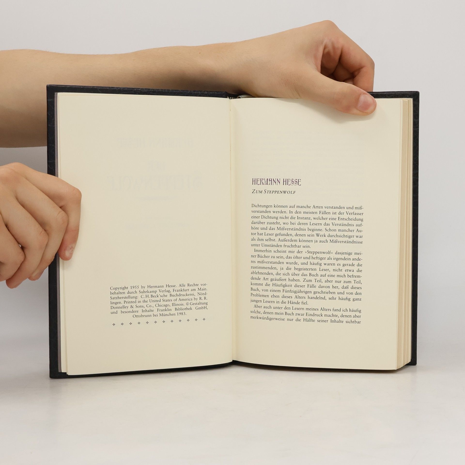 Hermann Hesse Zum Steppenwolf