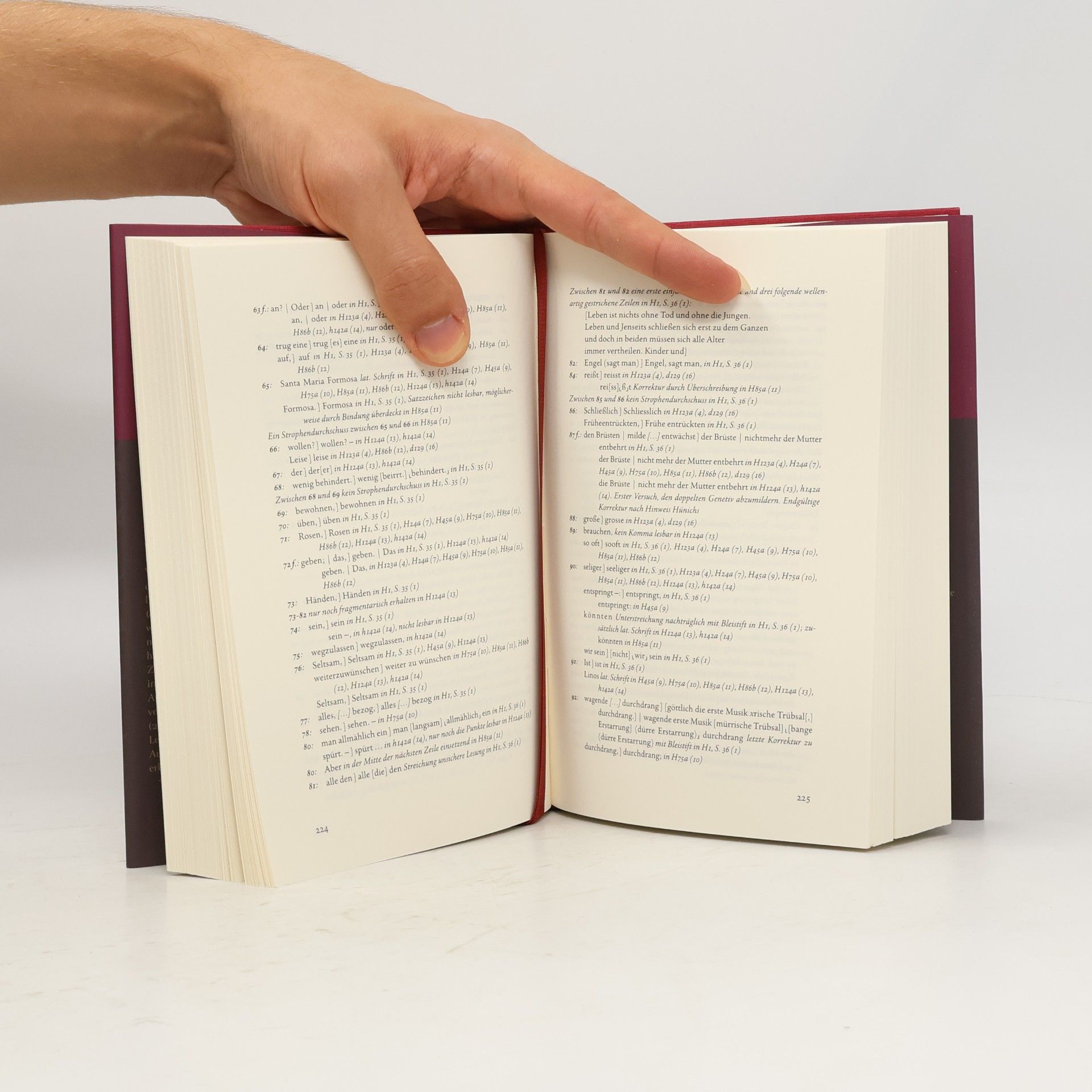 Rainer Maria Rilke Duineser Elegien