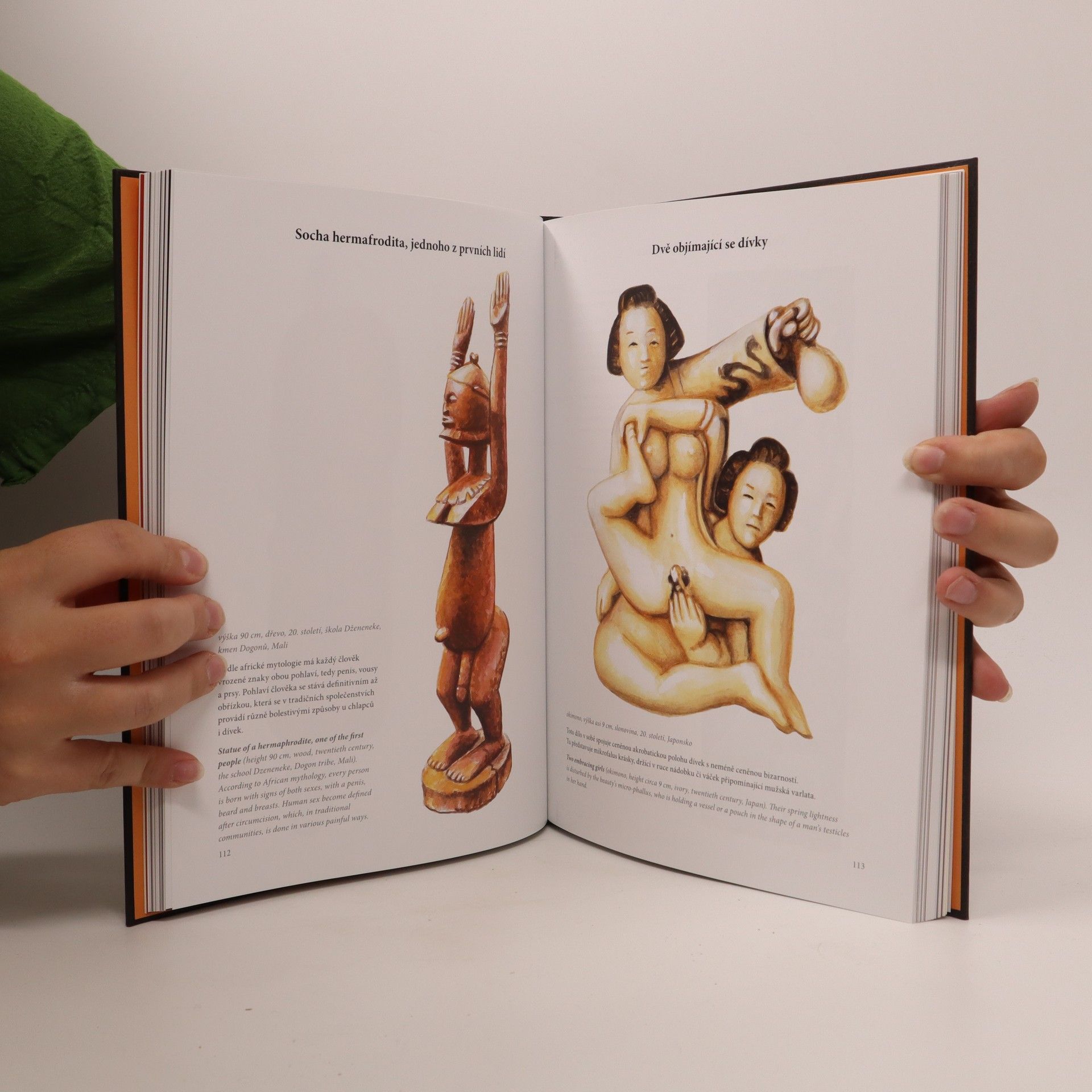 Marek Minář Řezbářský eroticon : by a woodcarver