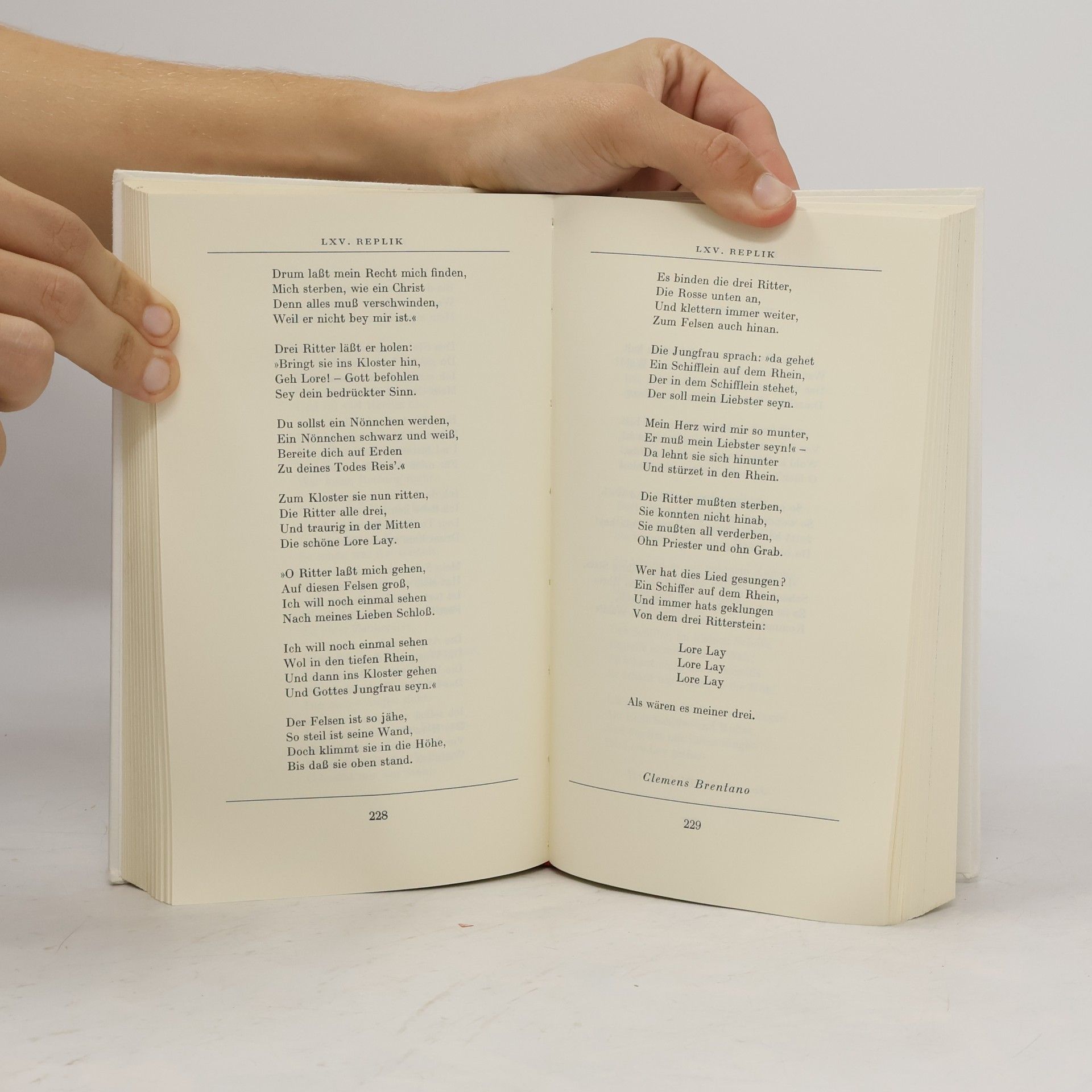 Hans Magnus Enzensberger Das Wasserzeichen der Poesie oder die Kunst und das Vergnügen, Gedichte zu lesen