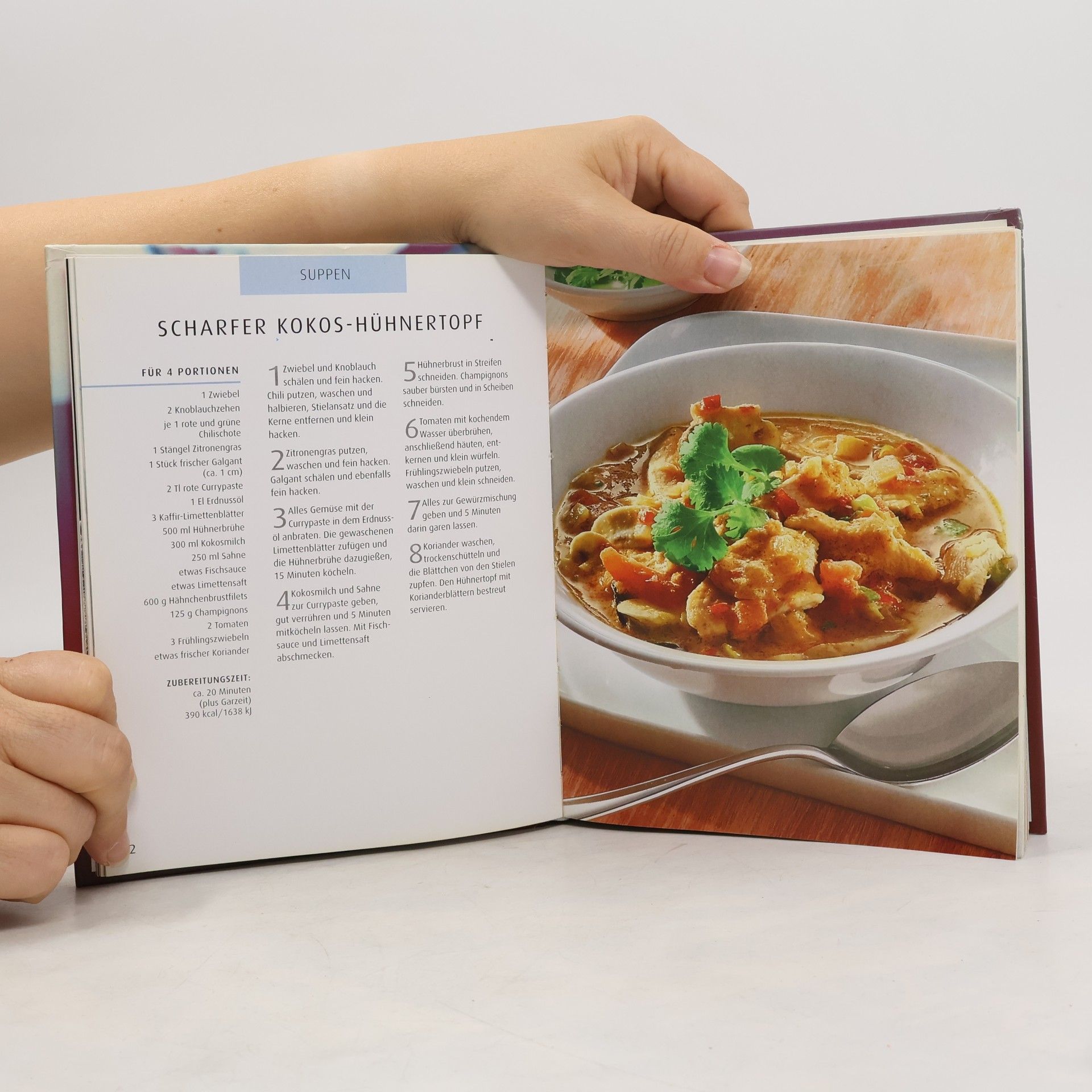 Wok. Die besten Rezepte aus der Asia-Küche