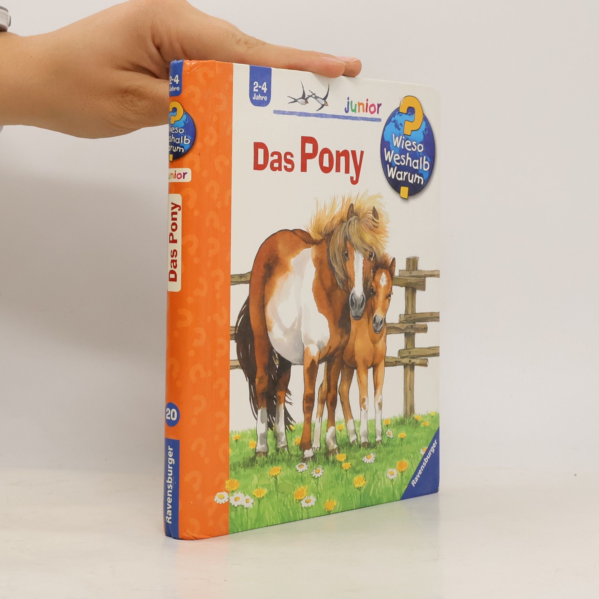 Das Pony