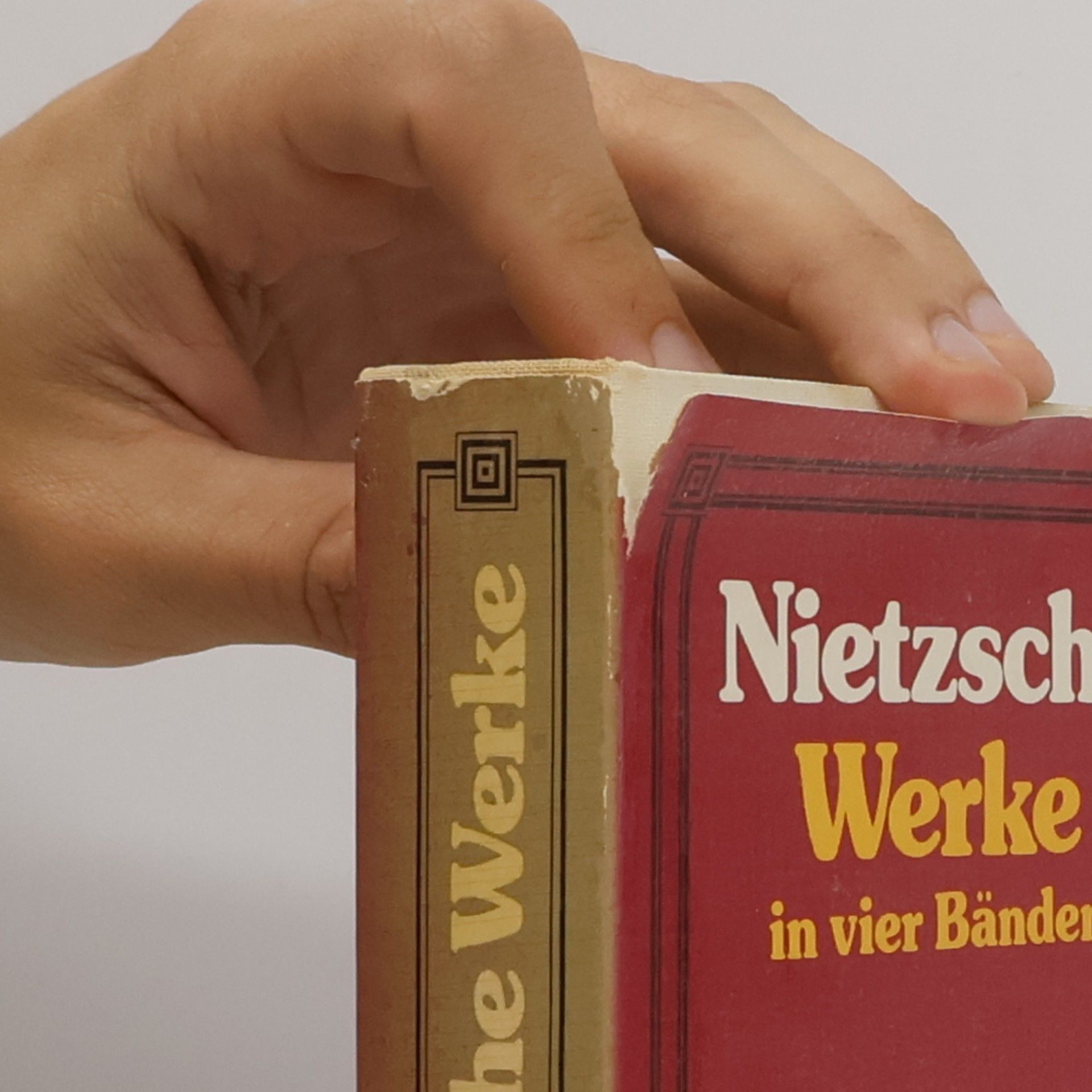 Friedrich Nietzsche Nietzsche Werke 3
