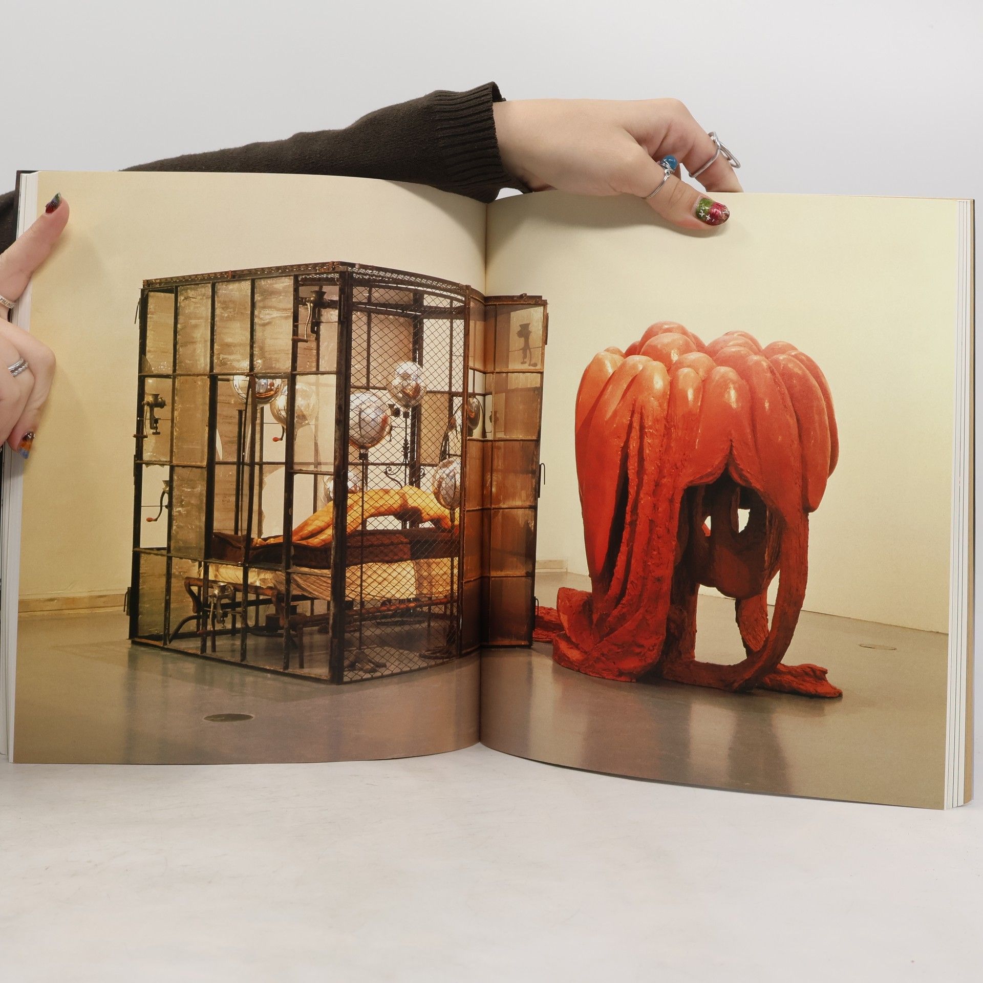 Robert Storr Louise Bourgeois