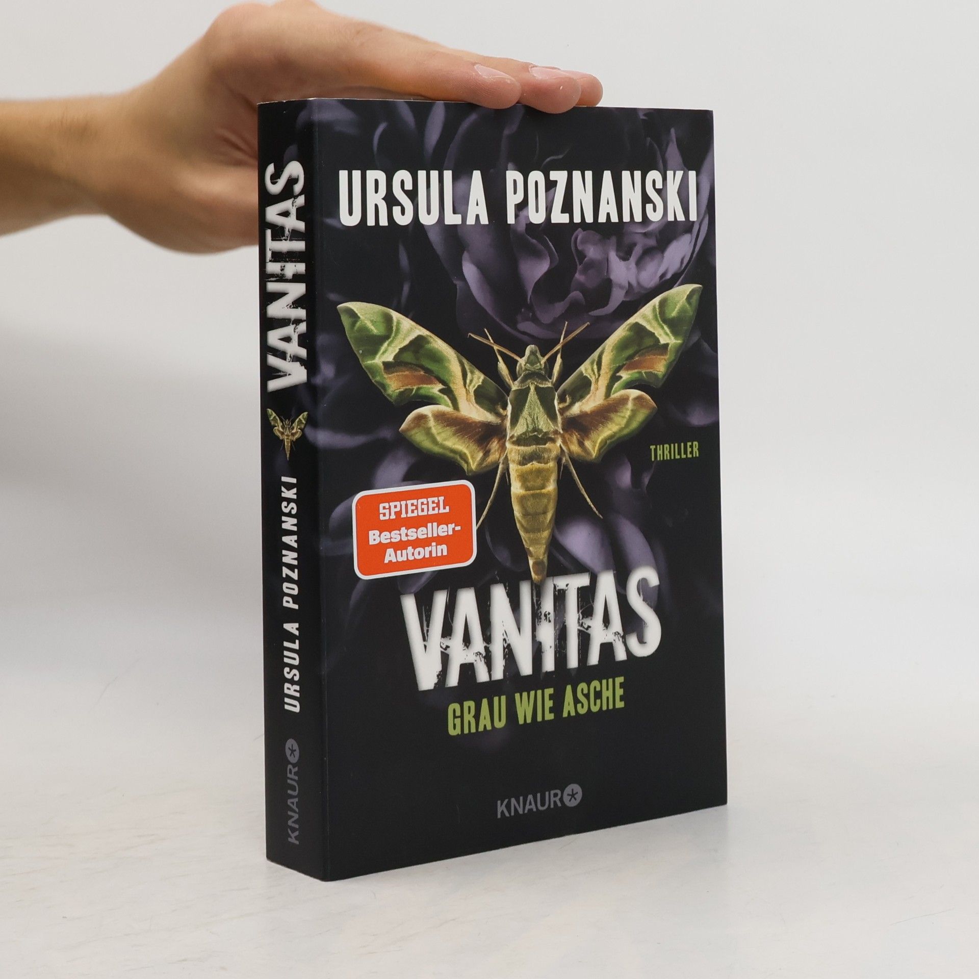 Ursula Poznanski Vanitas. Grau wie Asche