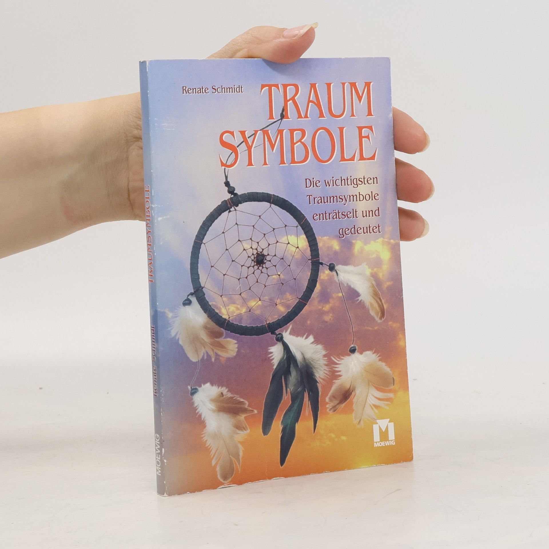 Renate Schmidt Traumsymbole
