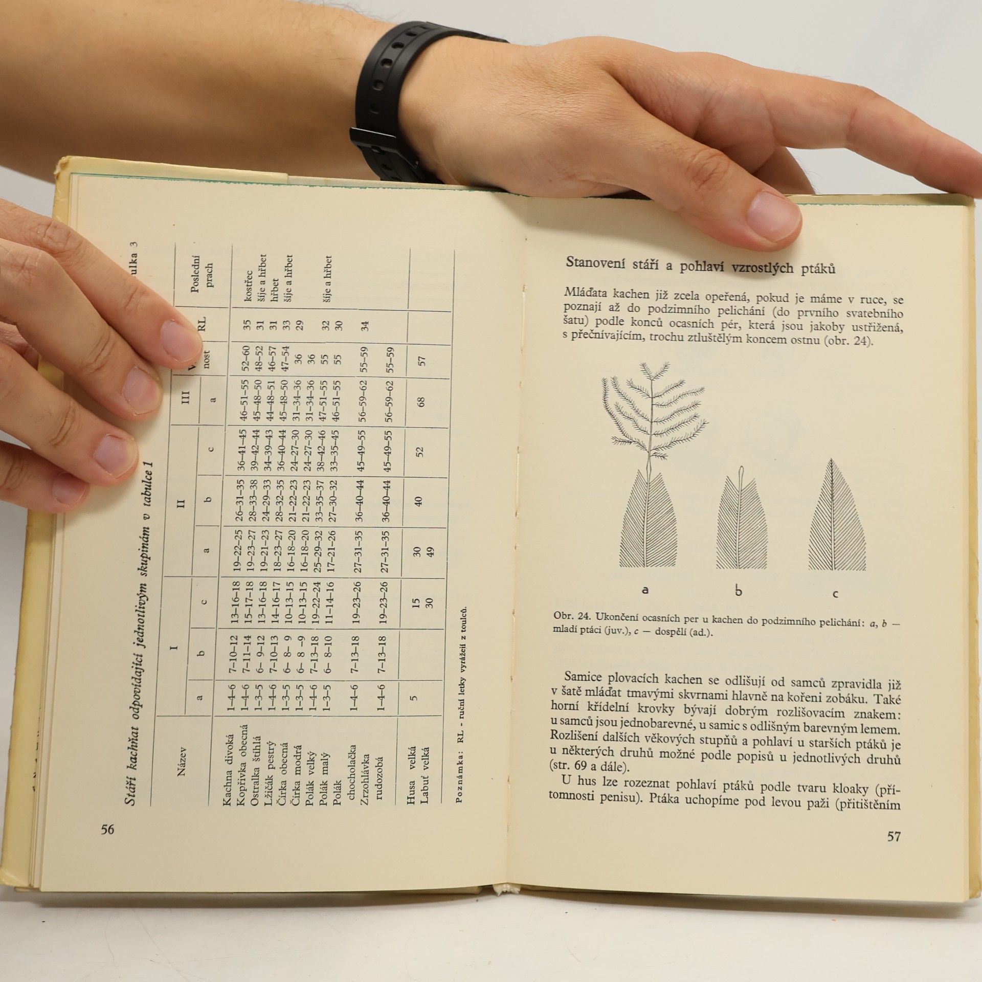 Karel Hudec Atlas vodní pernaté zvěře