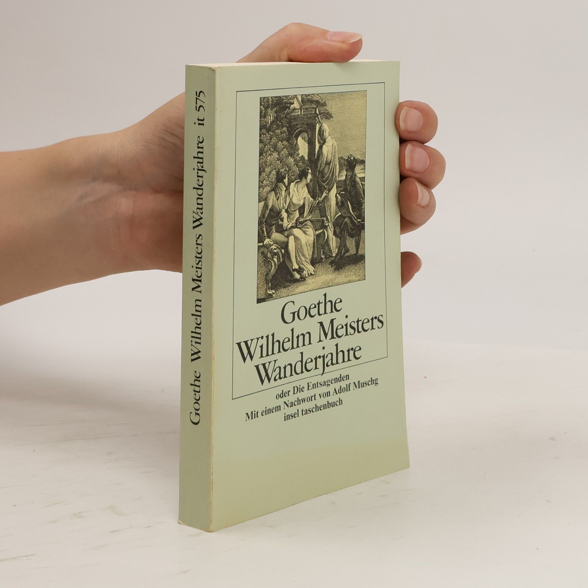 Wilhelm Meisters Wanderjahre, oder, die Entsagenden