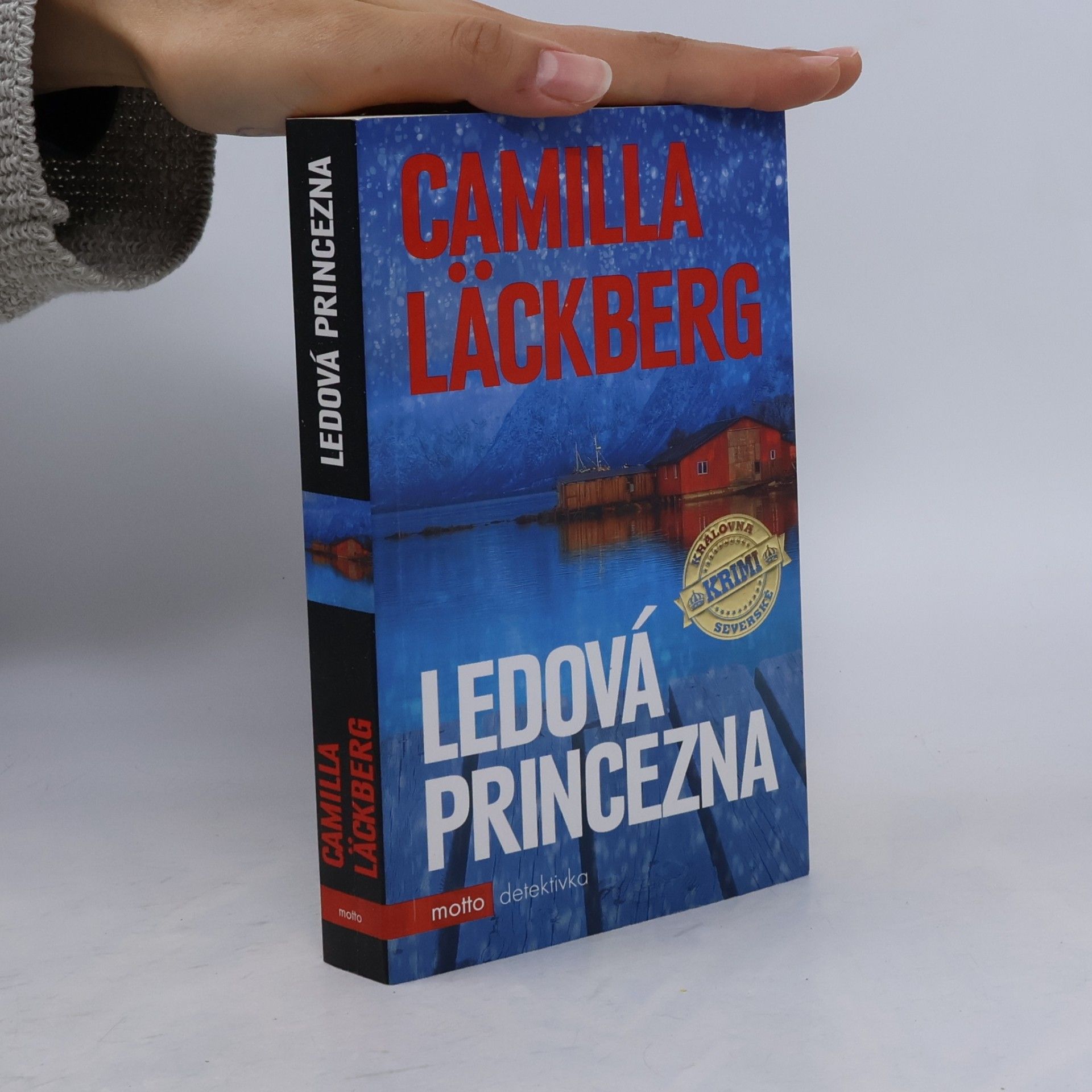 Ledová princezna