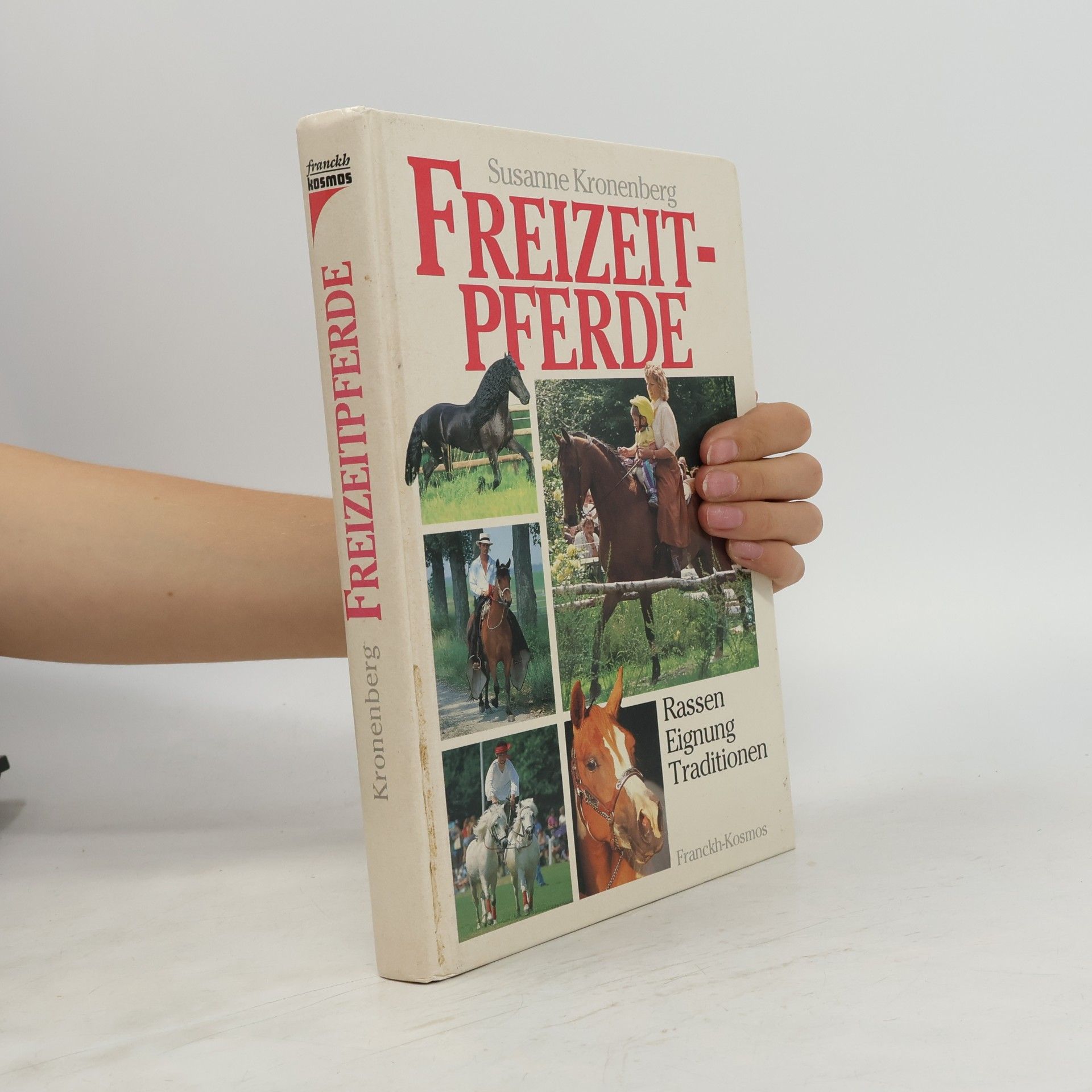 Freizeitpferde