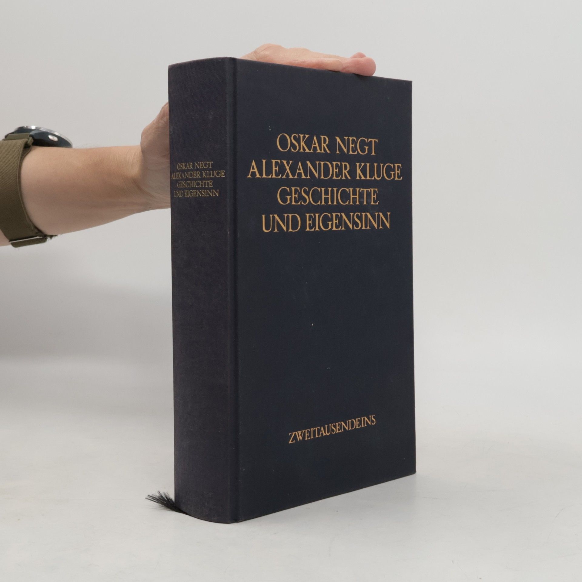 Oskar Negt Geschichte und Eigensinn