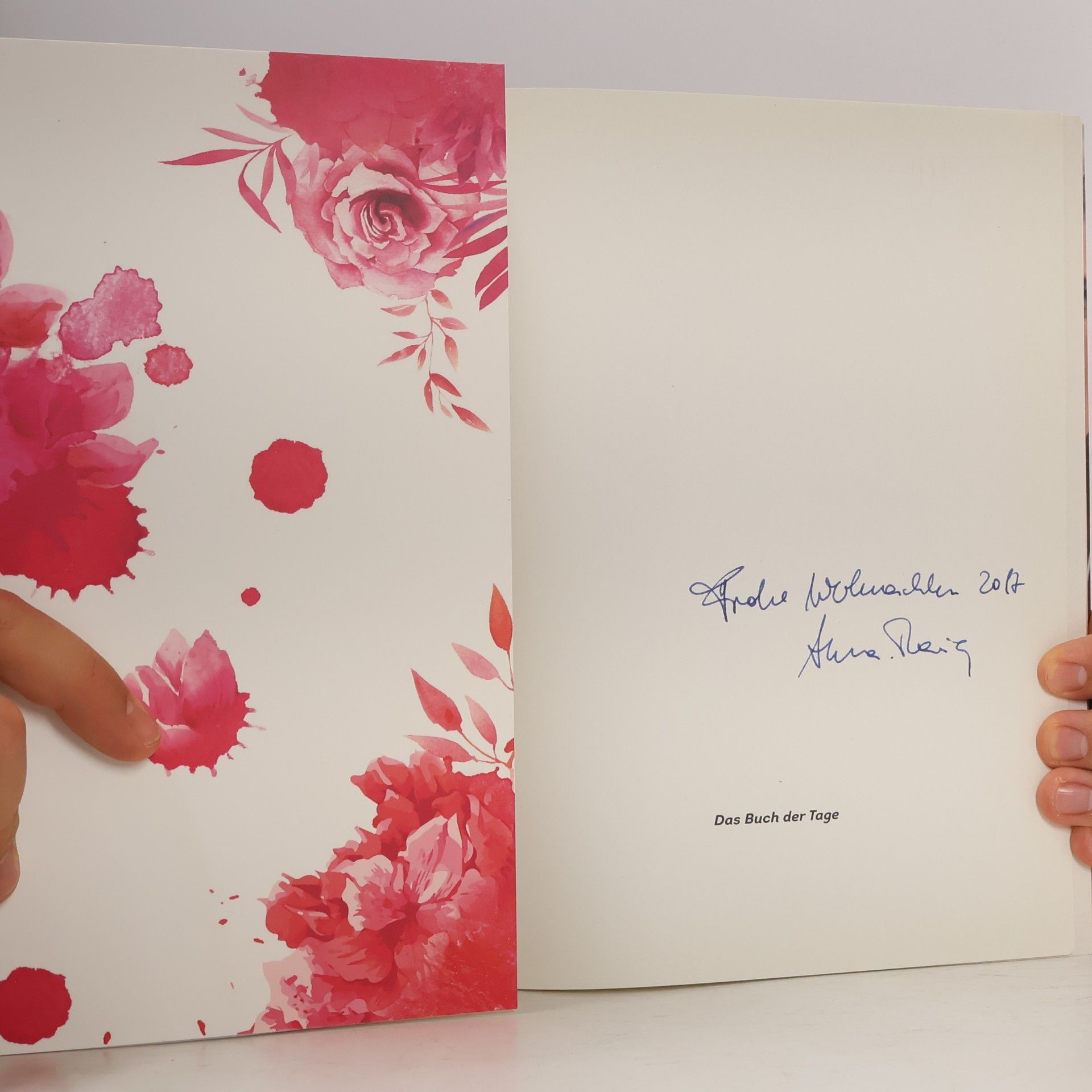 Sabine Maier Das Buch der Tage