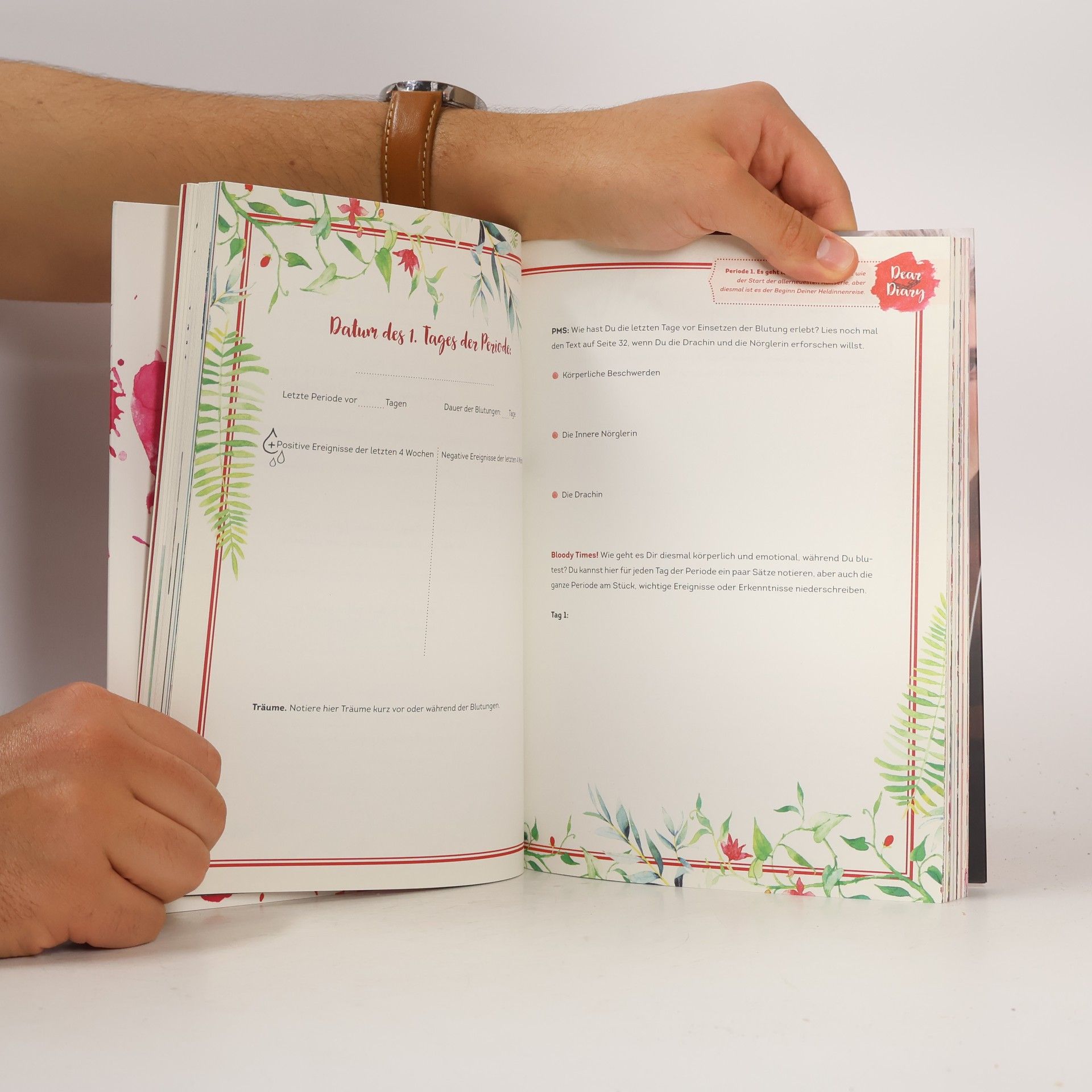 Sabine Maier Das Buch der Tage