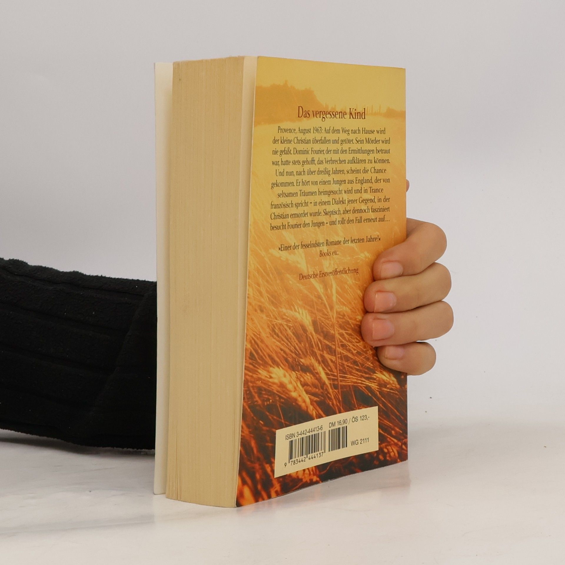 John Matthews Das vergessene Kind