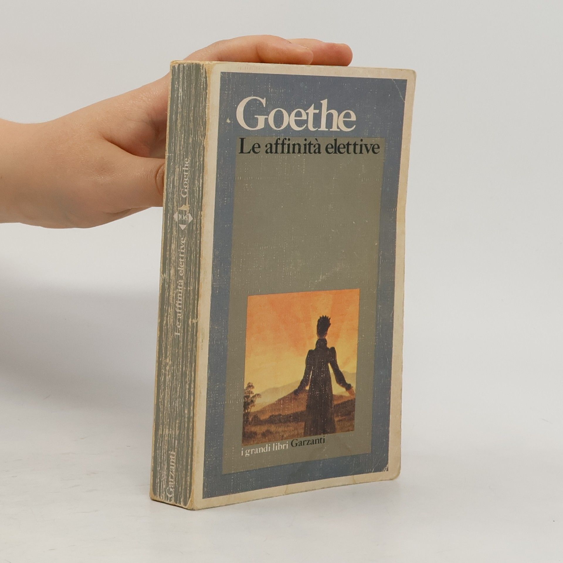 Johann Wolfgang von Goethe Le affinità elettive