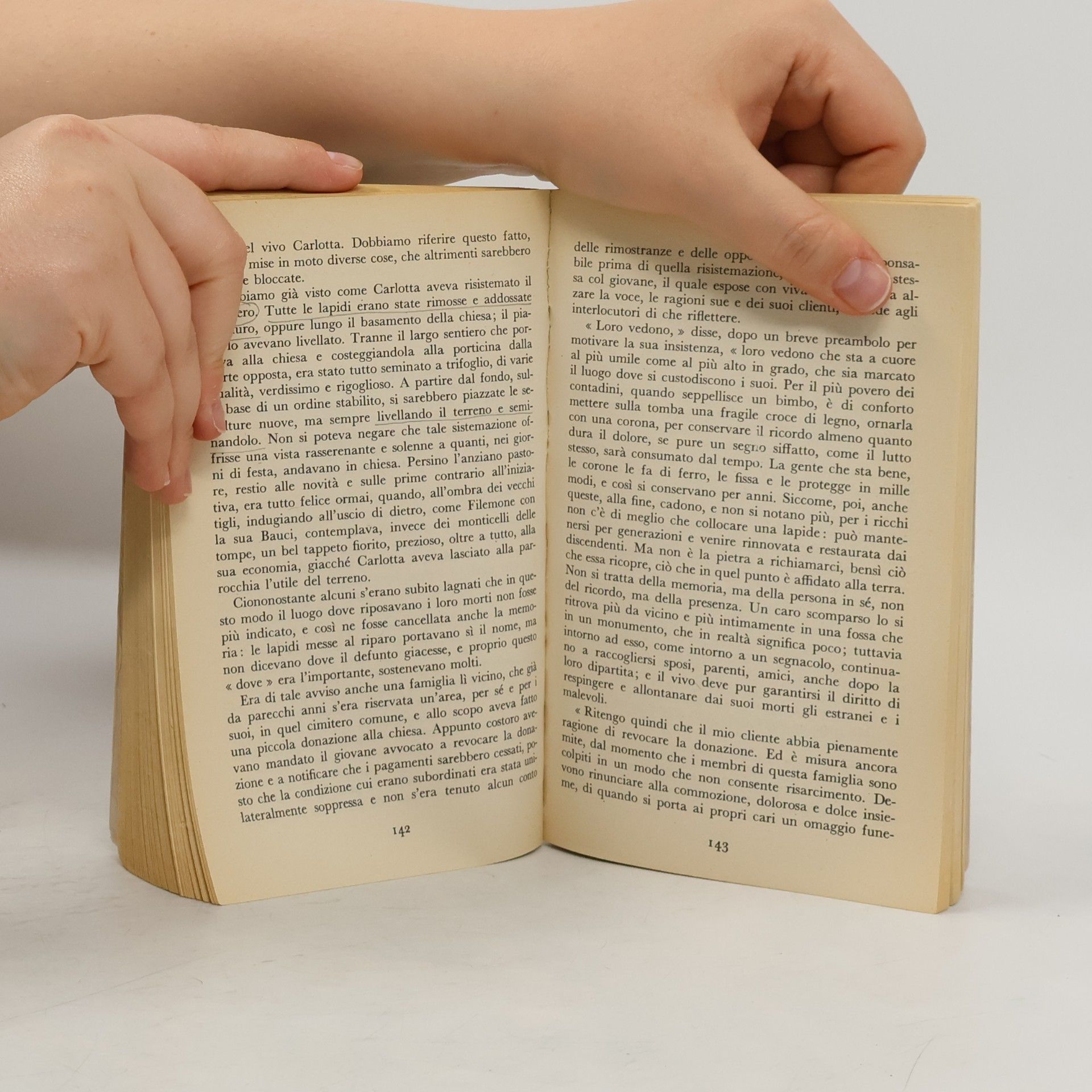 Johann Wolfgang von Goethe Le affinità elettive