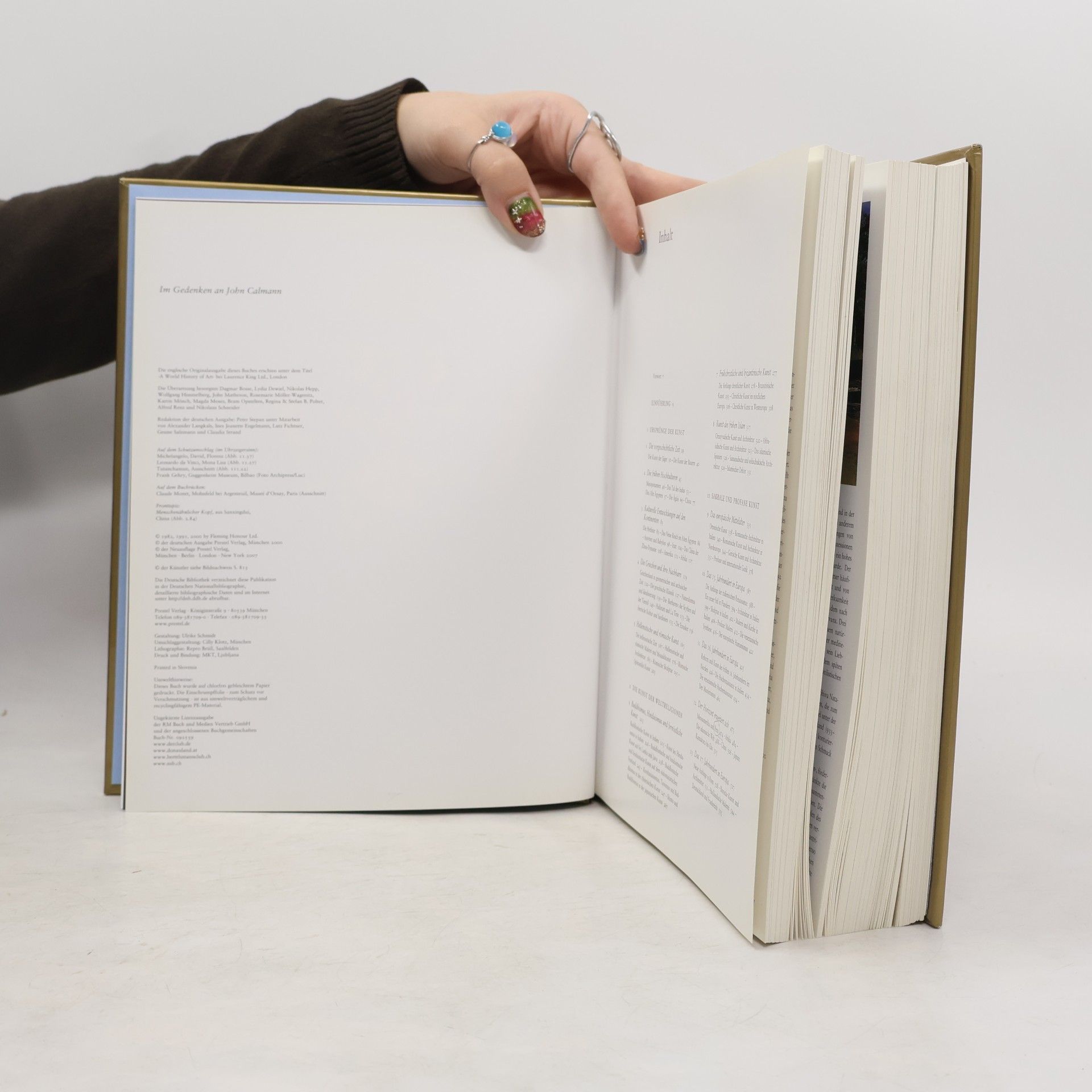 John Fleming Weltgeschichte der Kunst