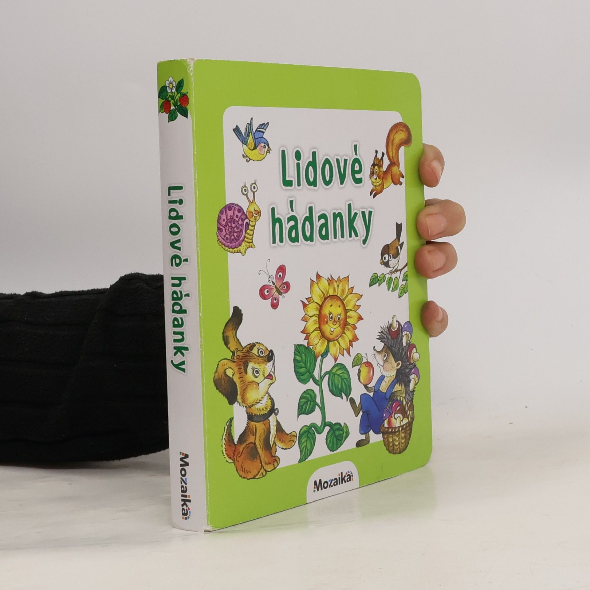 Various authors Lidové hádanky
