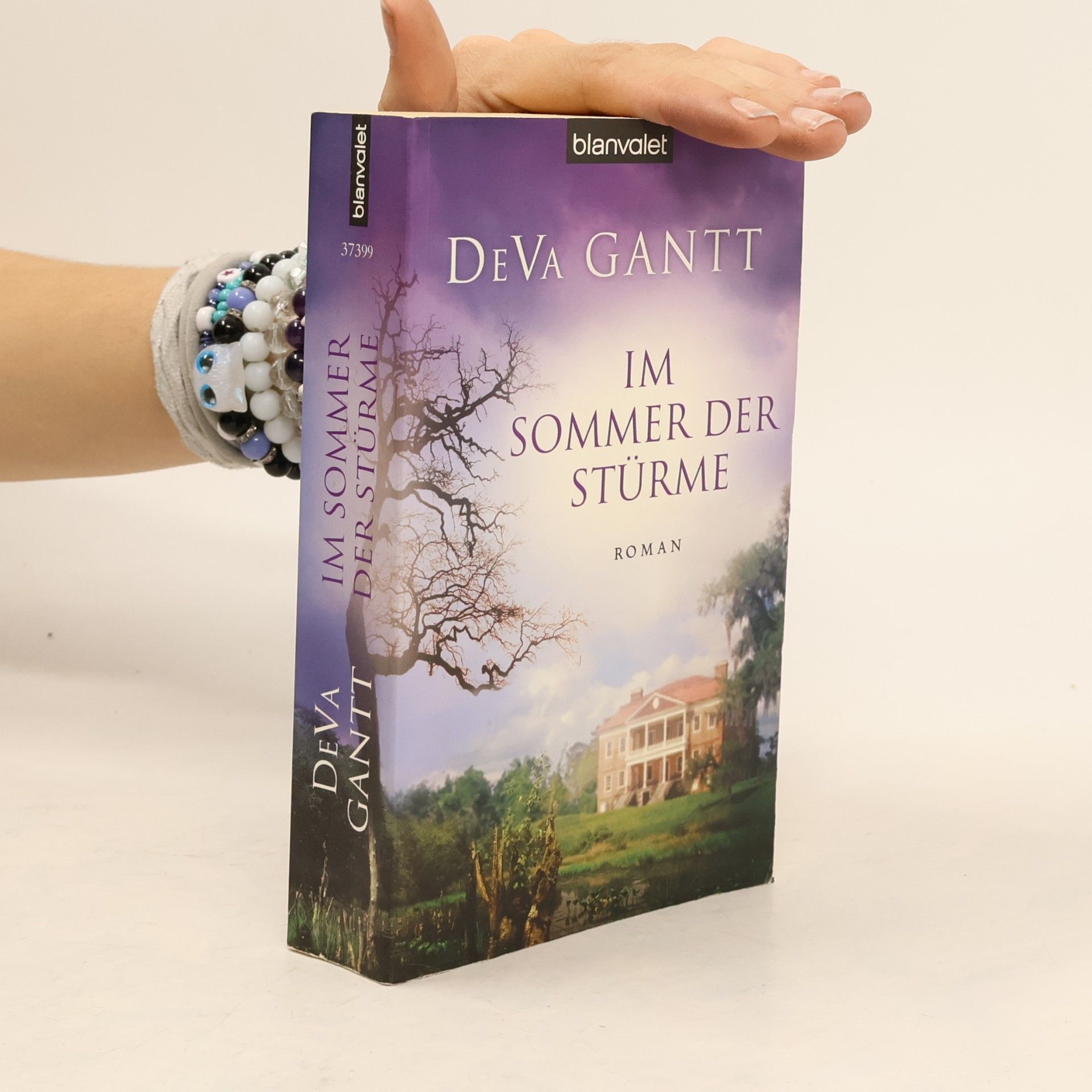 Im Sommer der Stürme. Roman