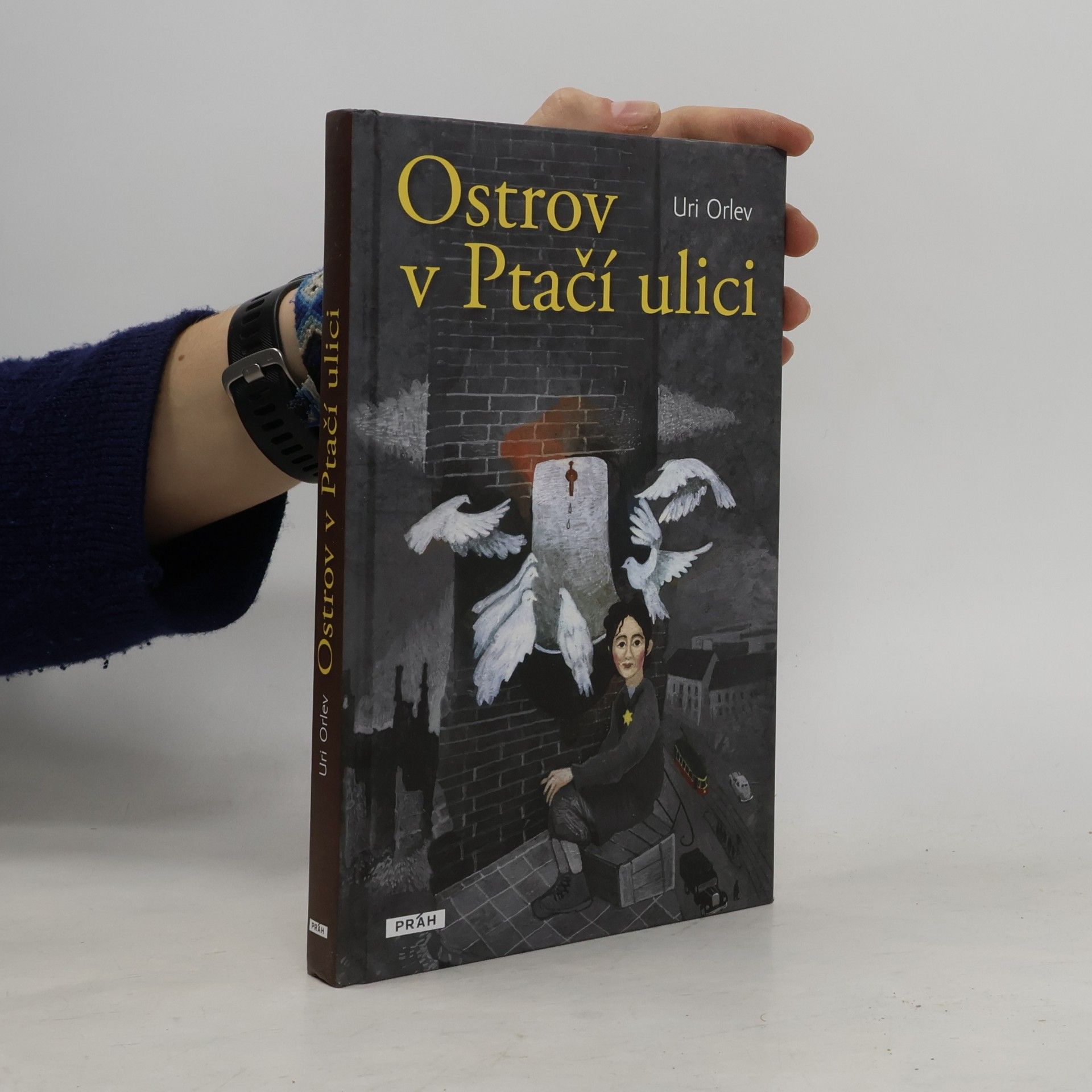 Uri Orlev Ostrov v Ptačí ulici