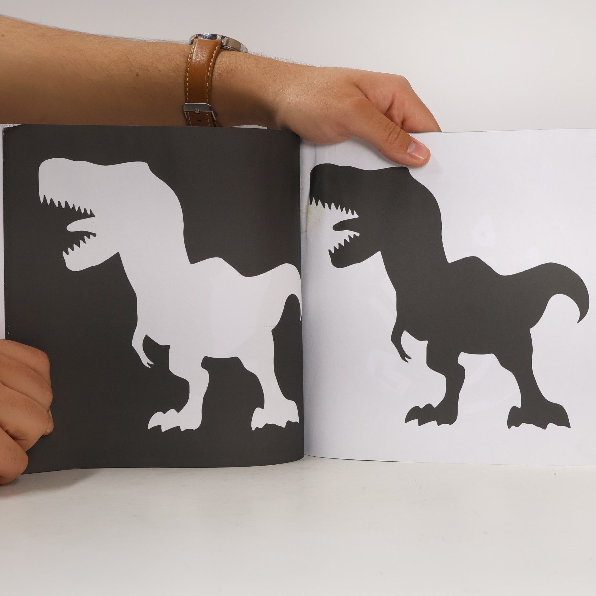 Kevin B. Guerrero My First Dinosaurs High Contrast Baby Book for Newborns 0-12 Months
