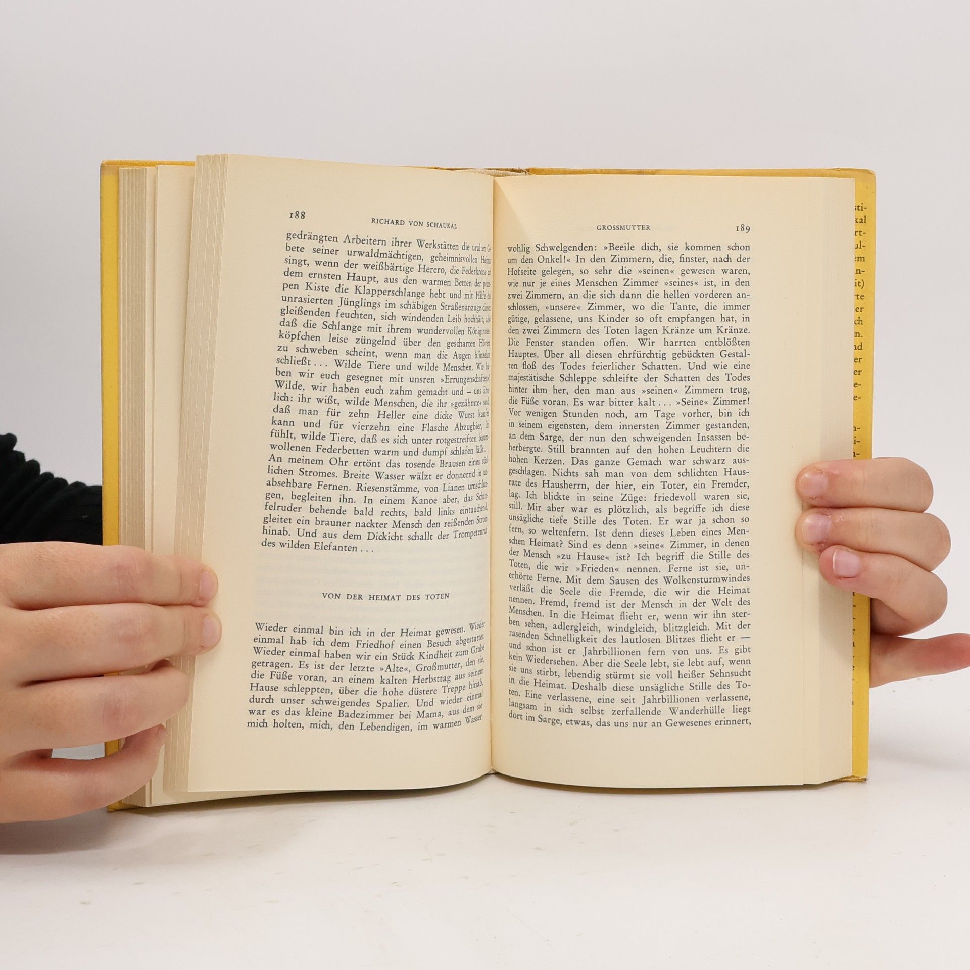 Richard von Schaukal Kindheit und Jugend