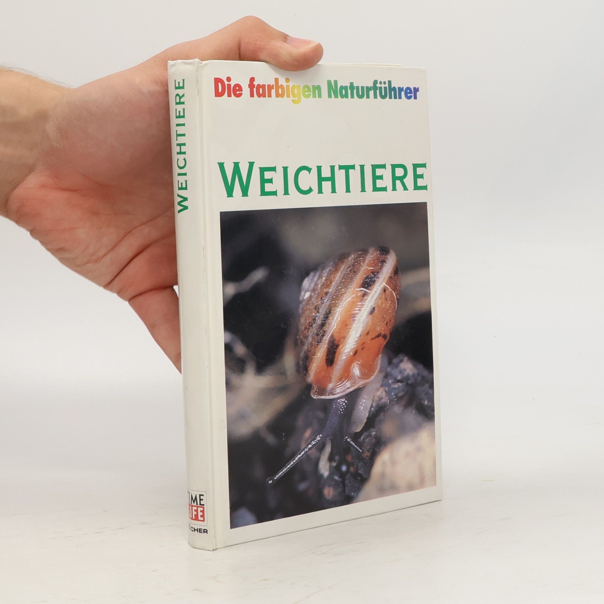 Collectif d'auteurs Weichtiere