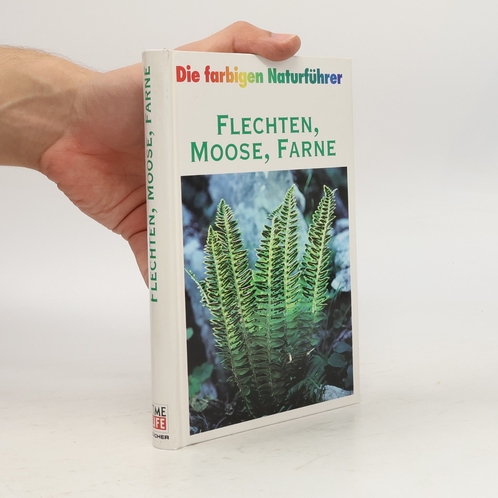 Flechten, Moose, Farne