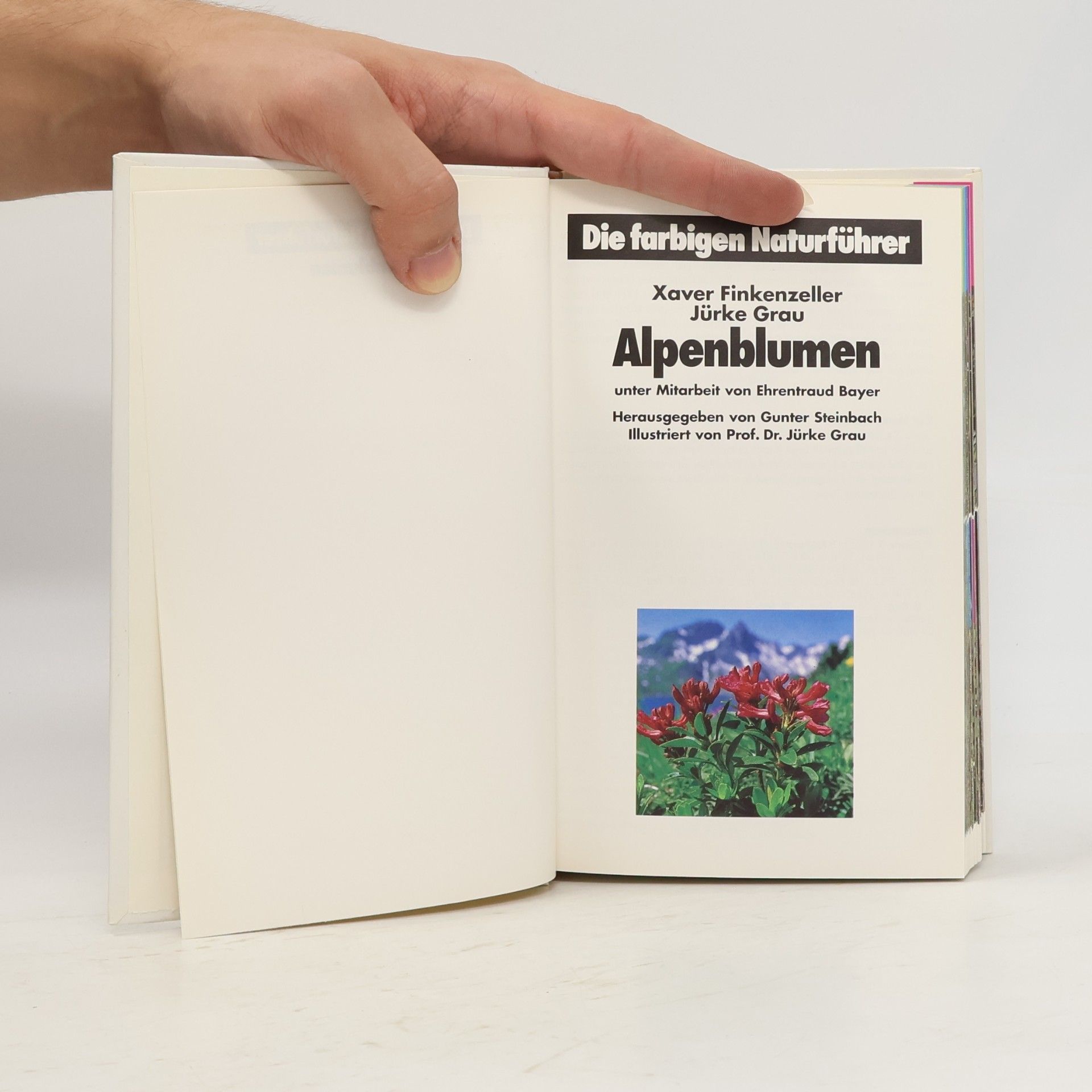 Autorenkollektiv Alpen Blumen