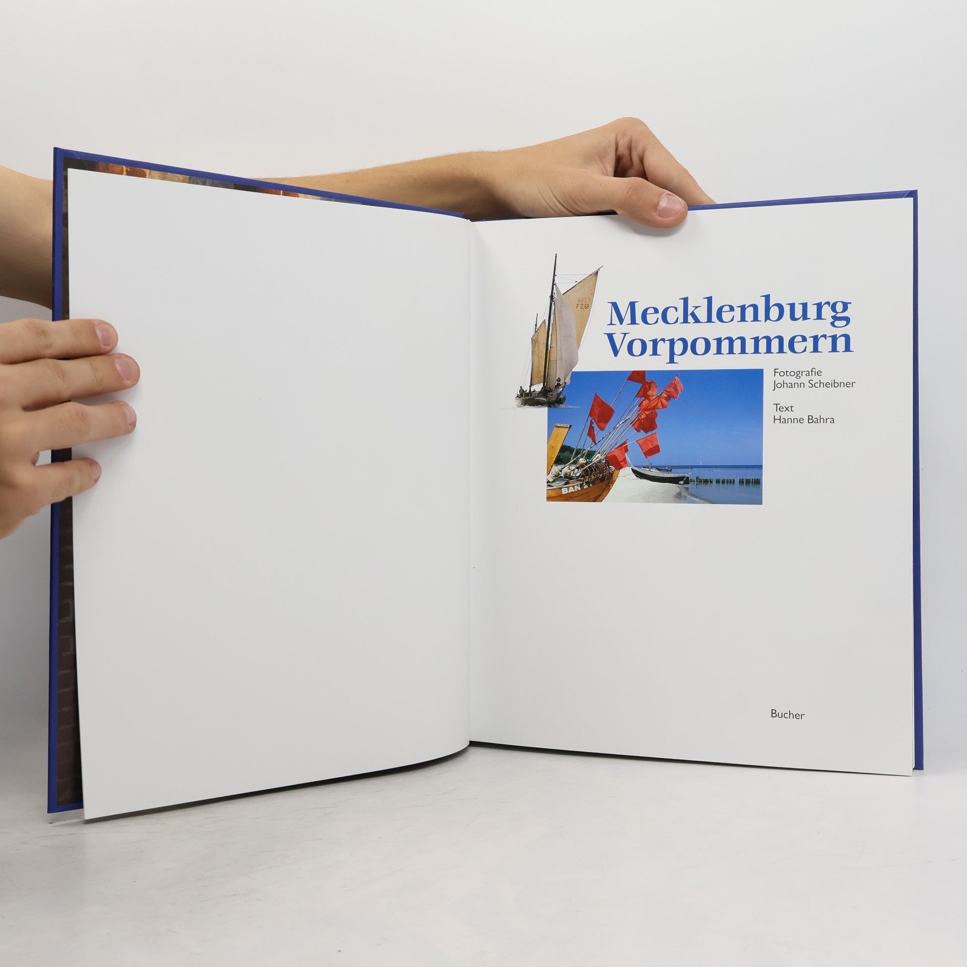 Johannes Scheibner Mecklenburg Vorpommern