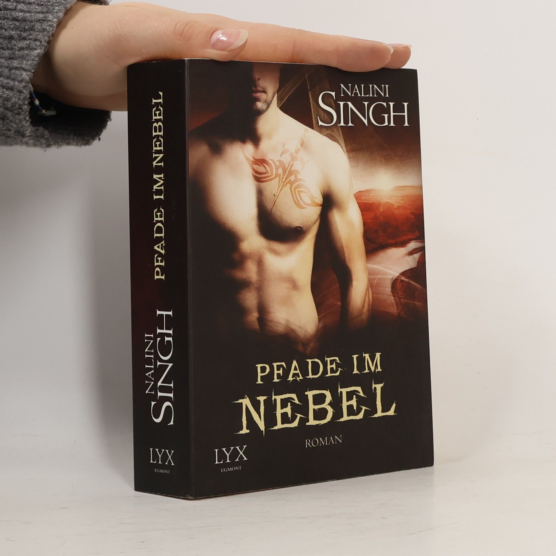 Nalini Singh Pfade im Nebel