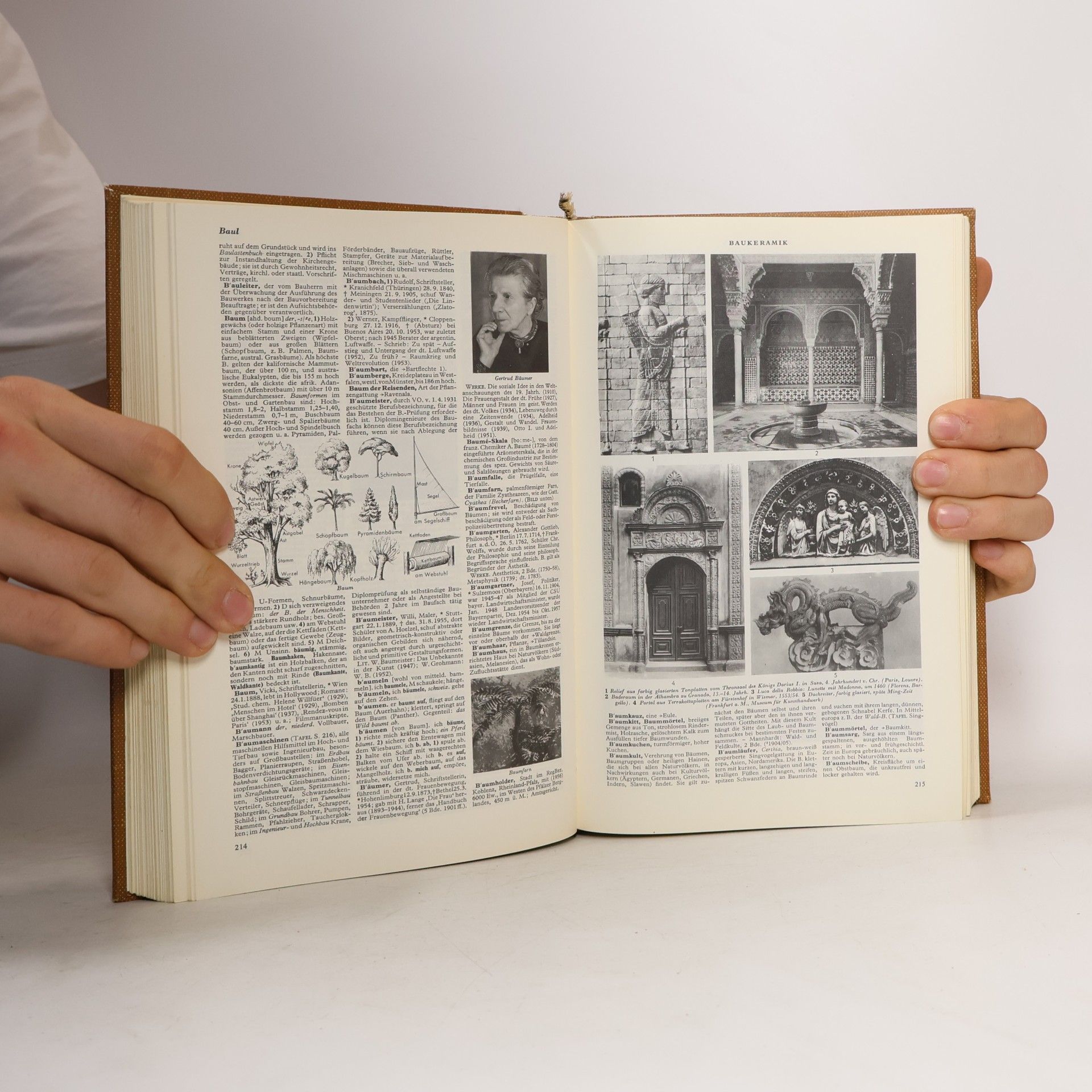 Kolektiv autorů Der neue Brockhaus A-D