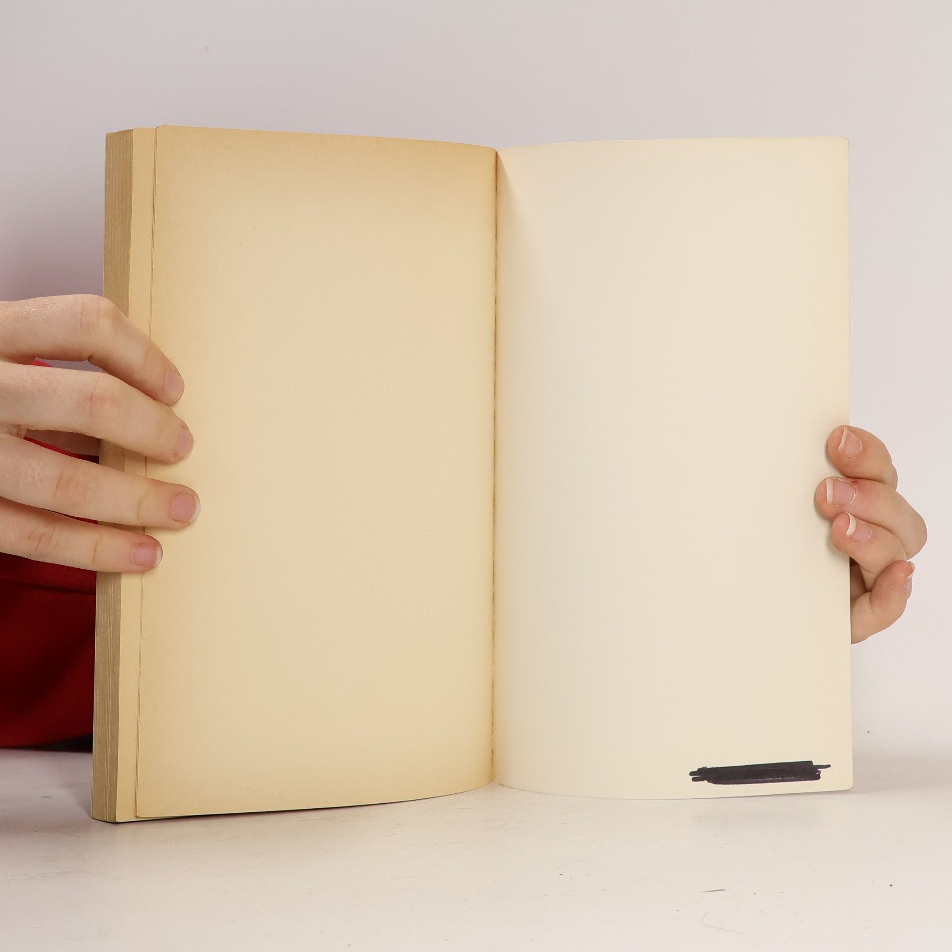 Ortwin Schweitzer ABLteam: Werkbuch Bibelarbeit