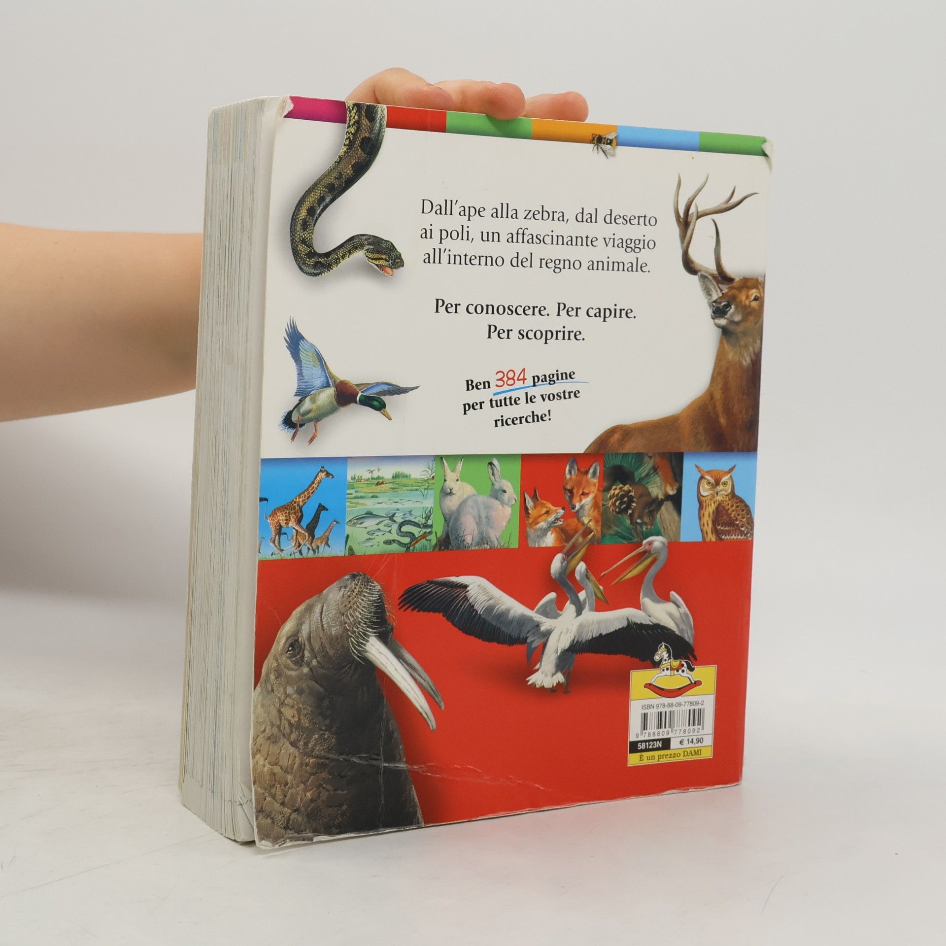 Paul Cloché Enciclopedia illustrata degli animali