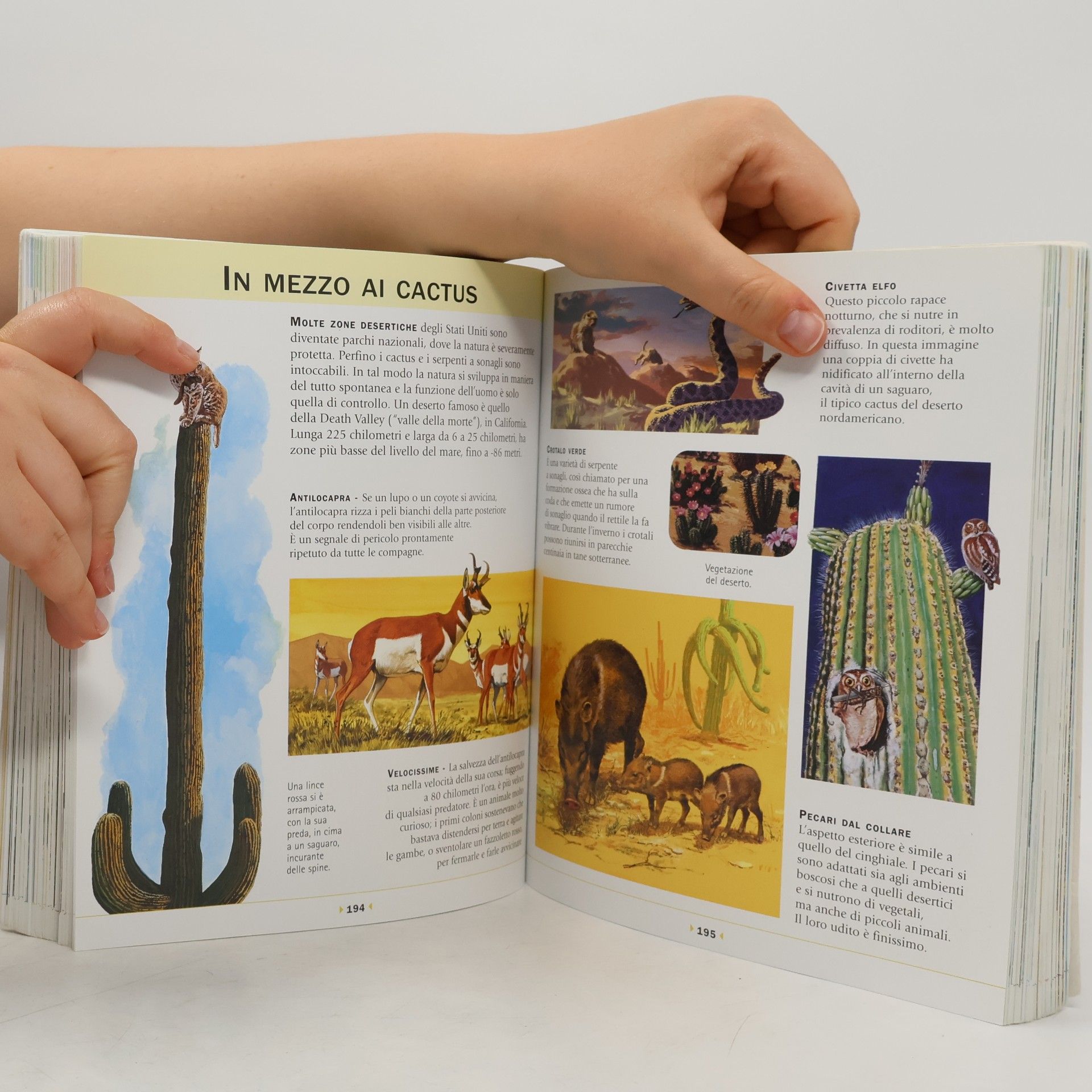 Paul Cloché Enciclopedia illustrata degli animali