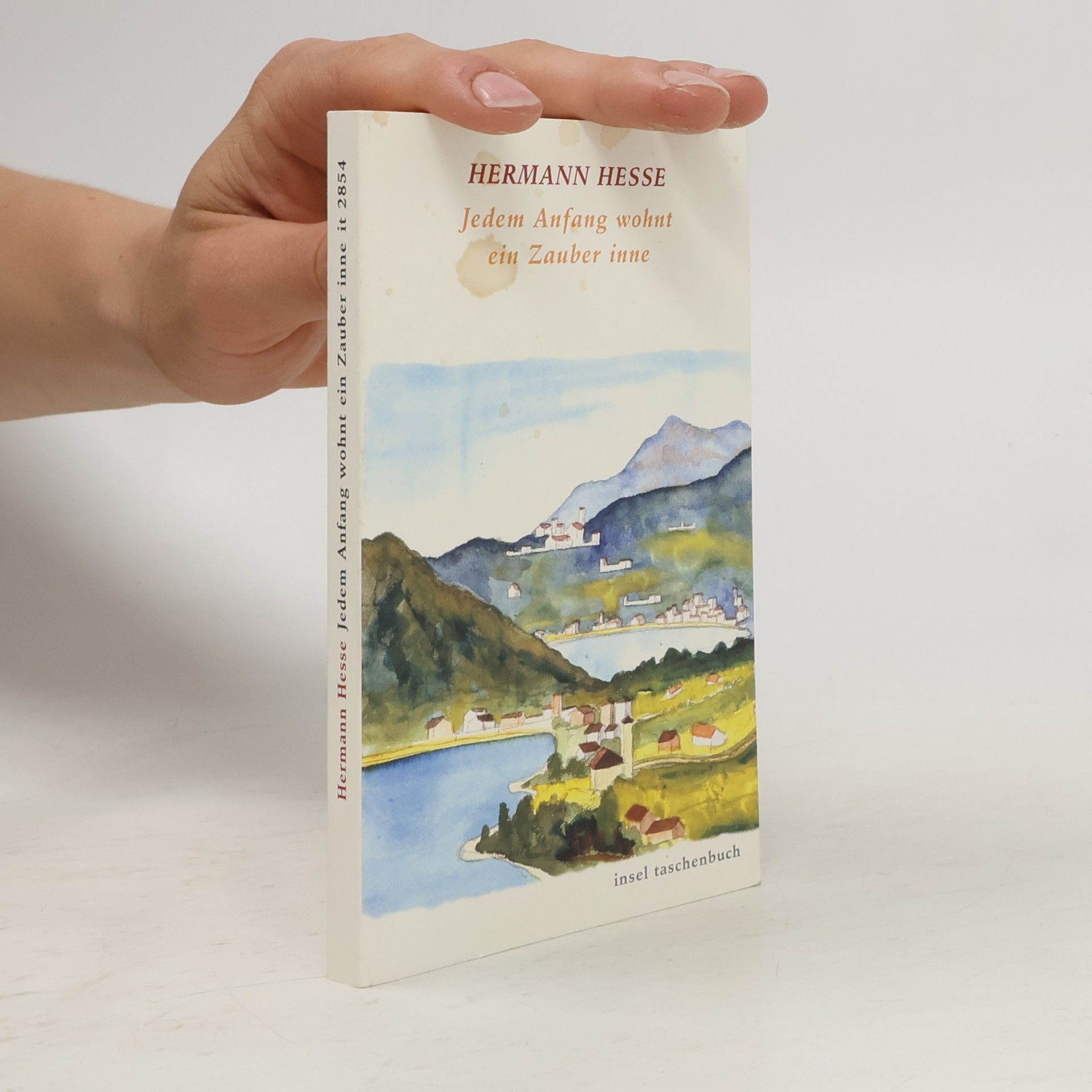Hermann Hesse Jedem Anfang wohnt ein Zauber inne