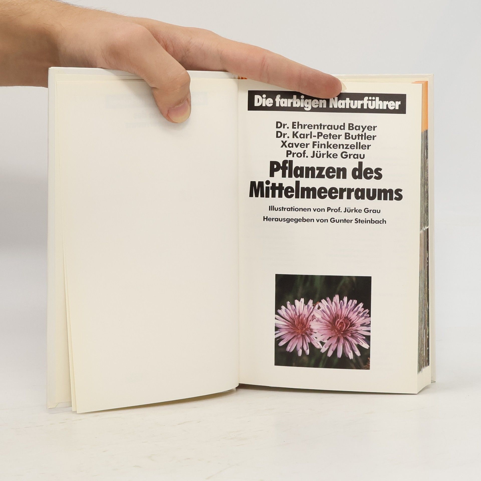 Autorenkollektiv Die farbigen Naturführer. Pflanzen des Mittelmeerraums
